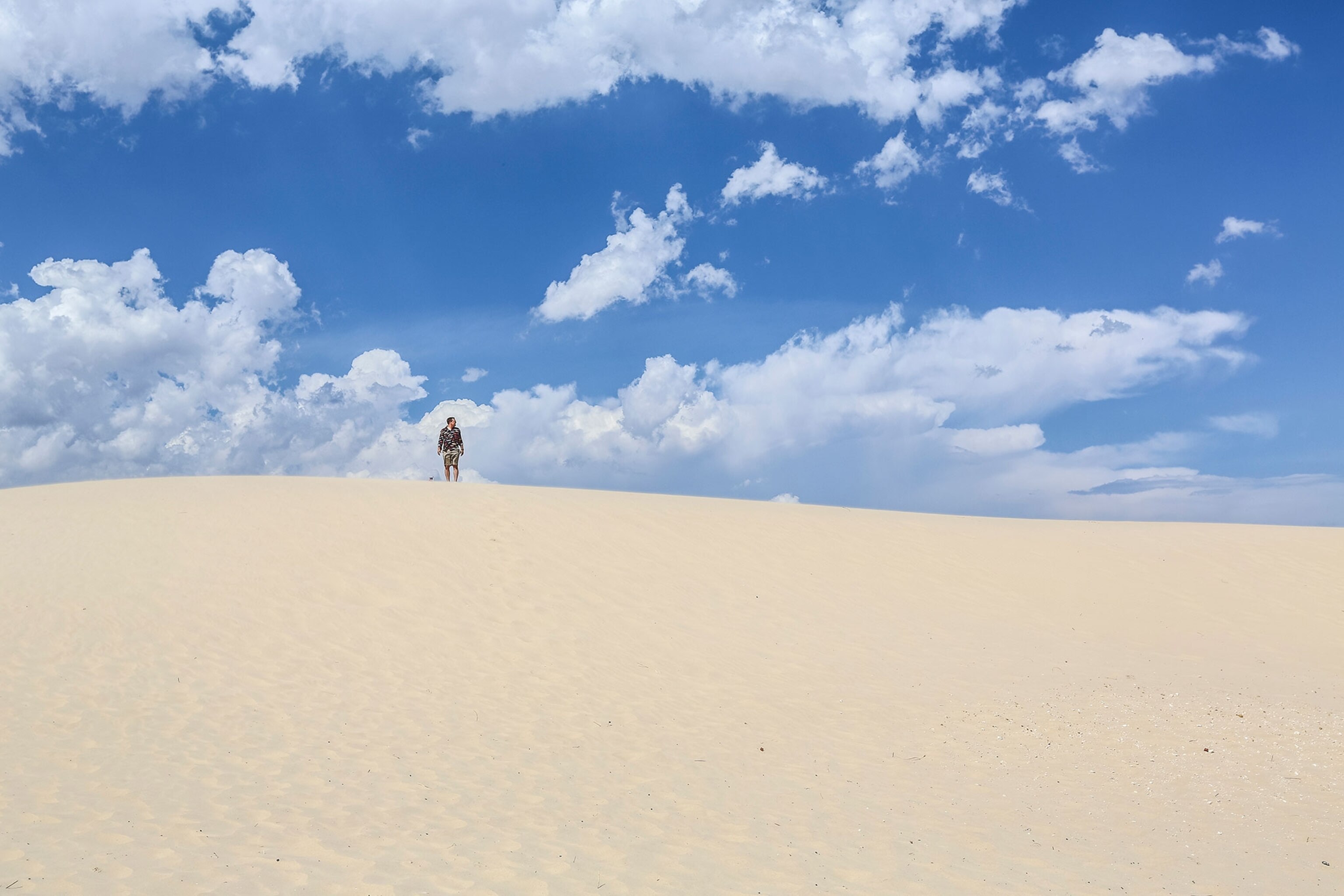 hiker in the sandy desert at Monahans State Park in Texas