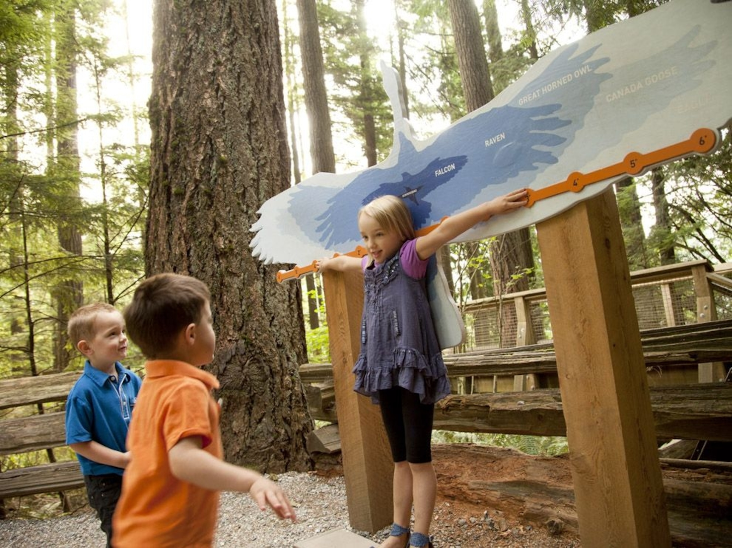 kids play at Capilano Bridge.