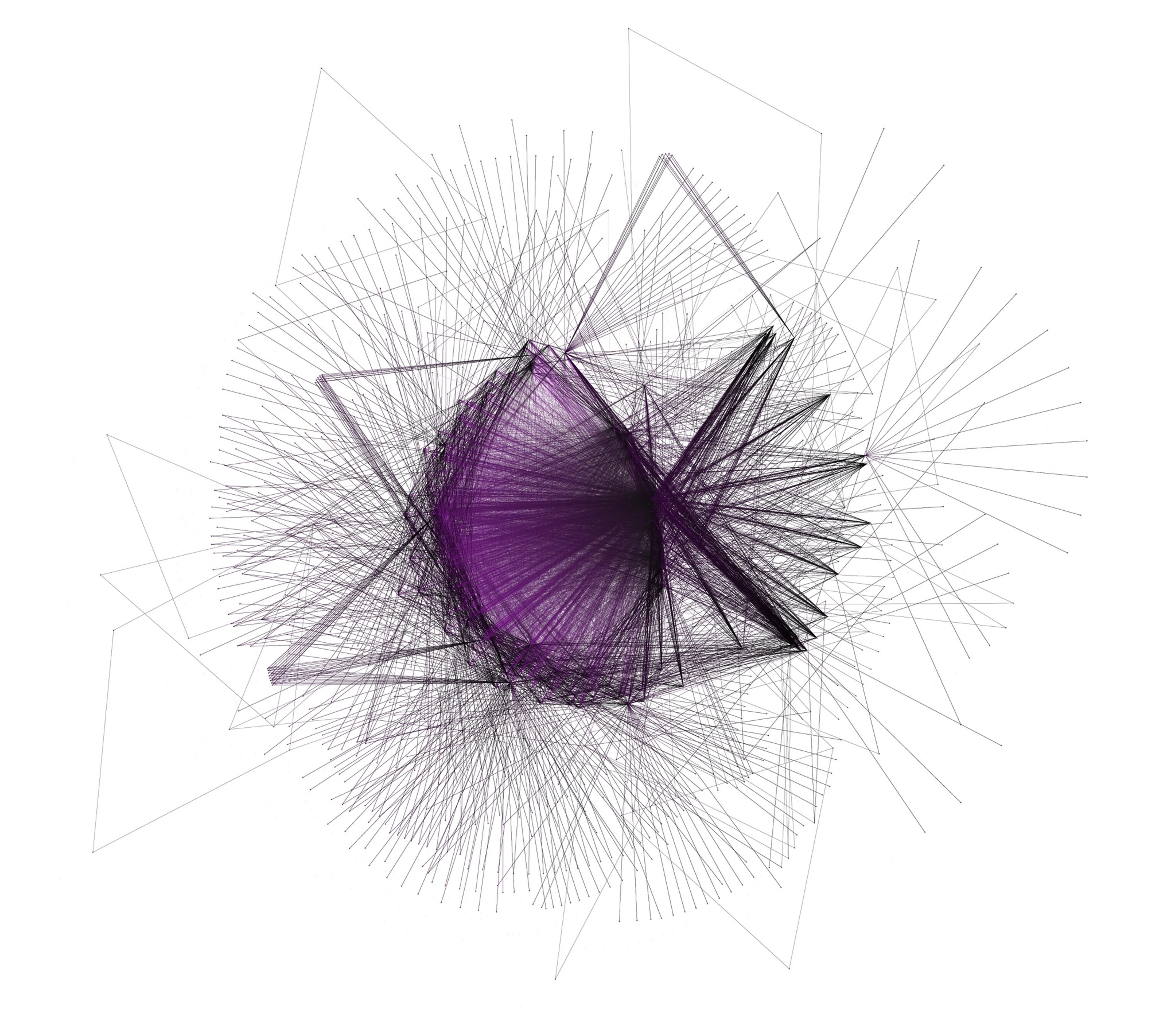 A "data portrait" graphically showing connections on the web.