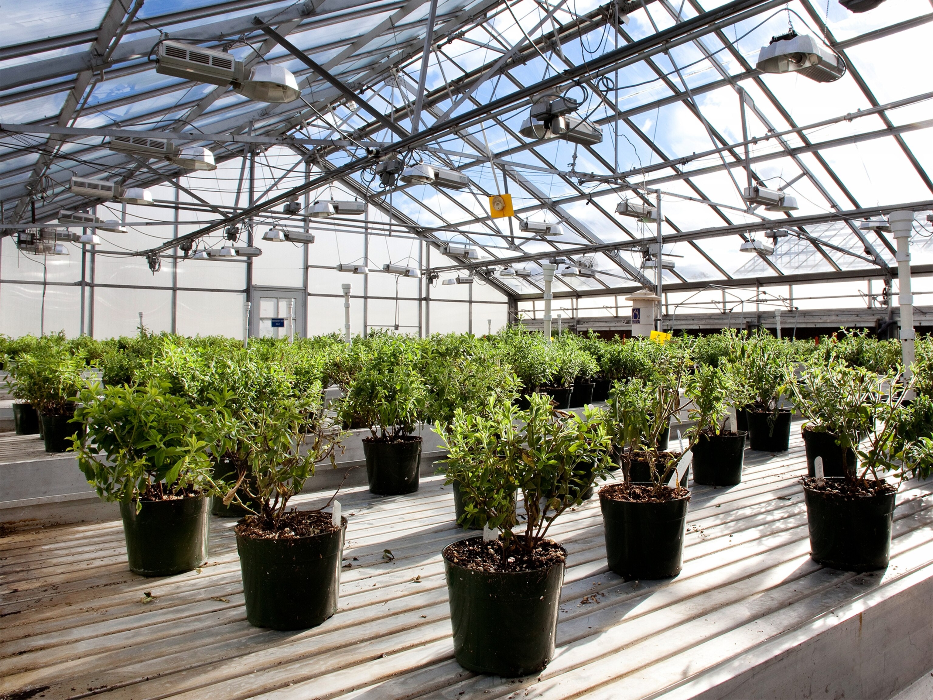 cans of soda displayed in a case at a convenience store in San Diego.