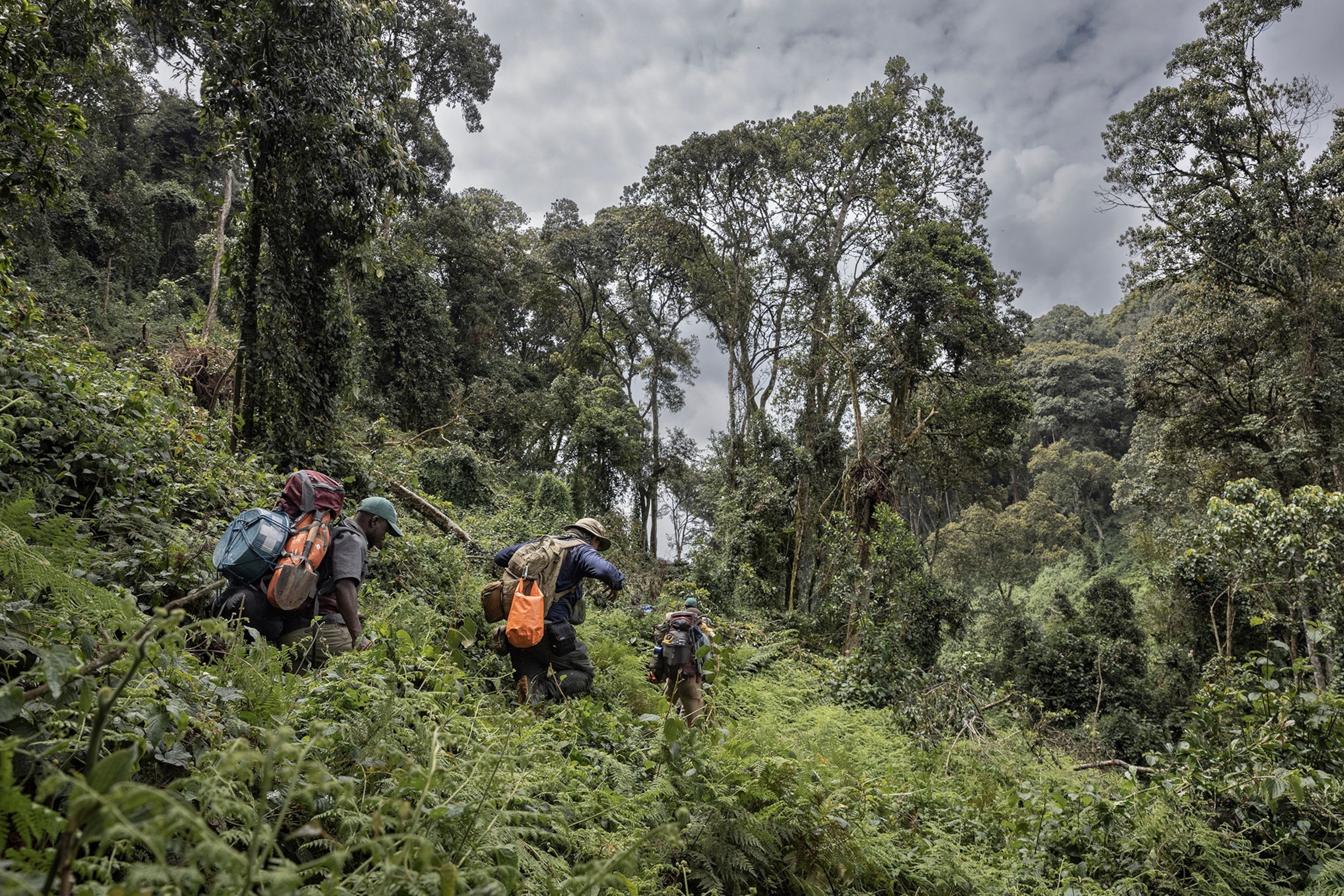 expedition team members ascending on a trail in the forest