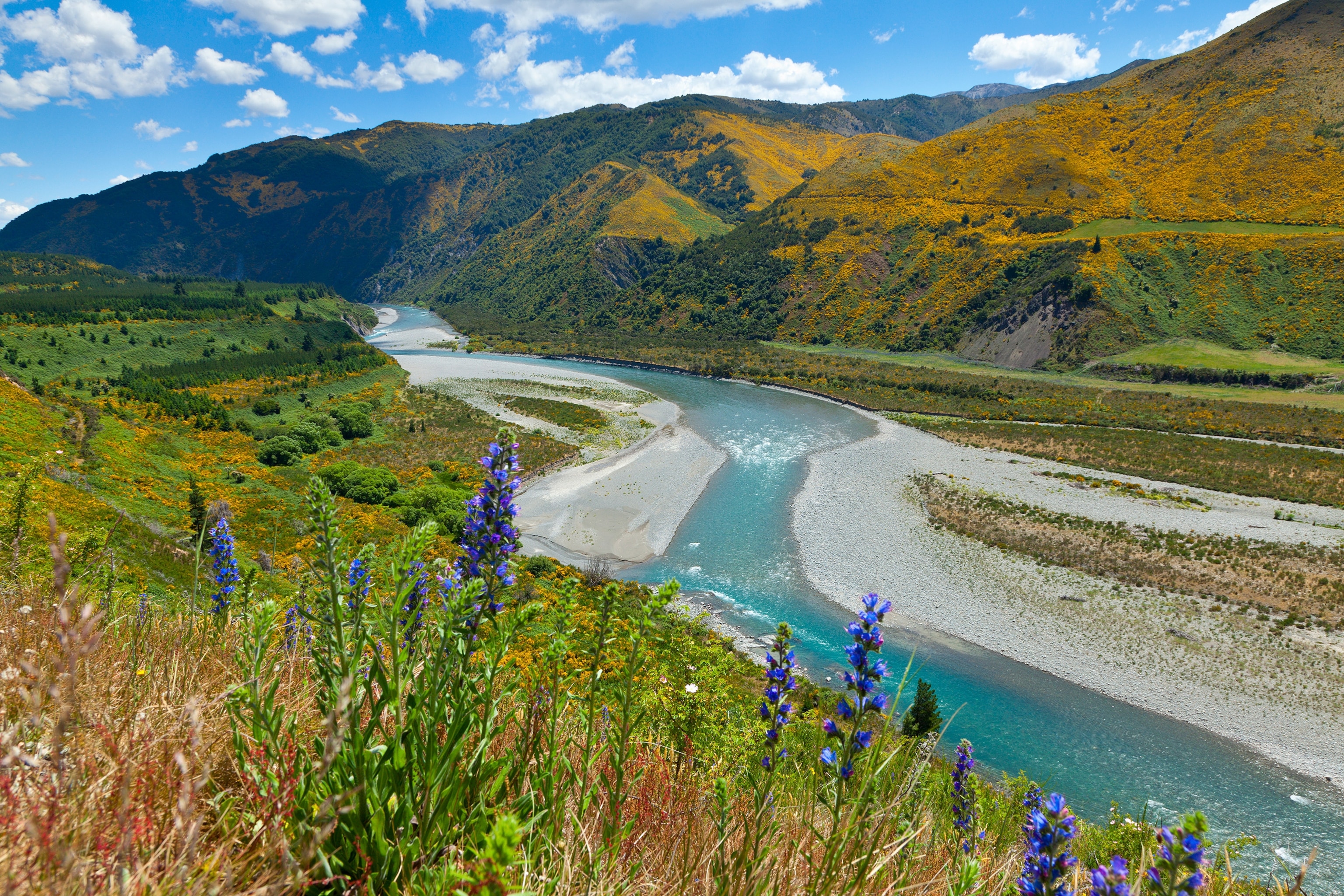 Maruia River from Lewis Pass in New Zealand