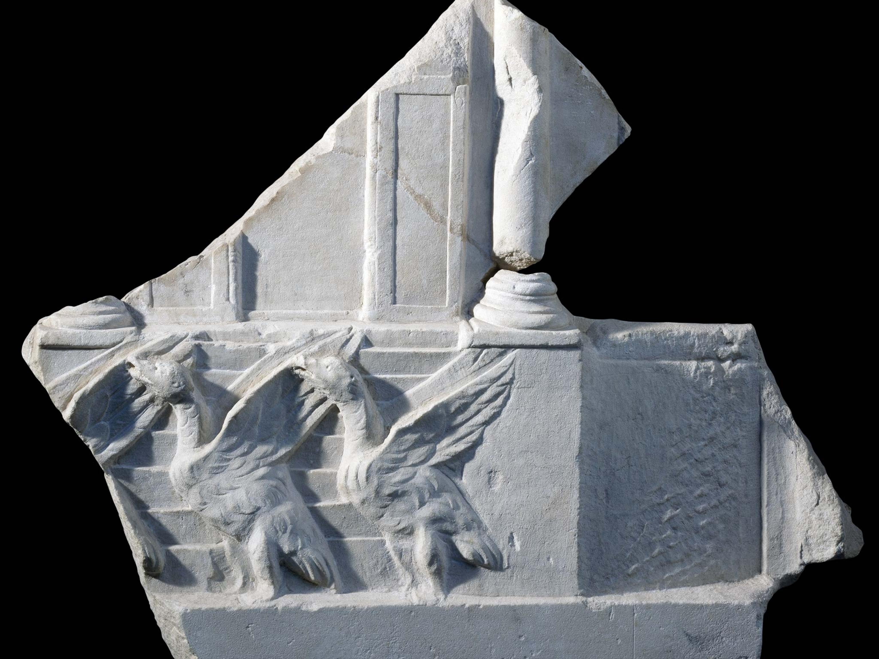 Gauls Rome Geese Breeds