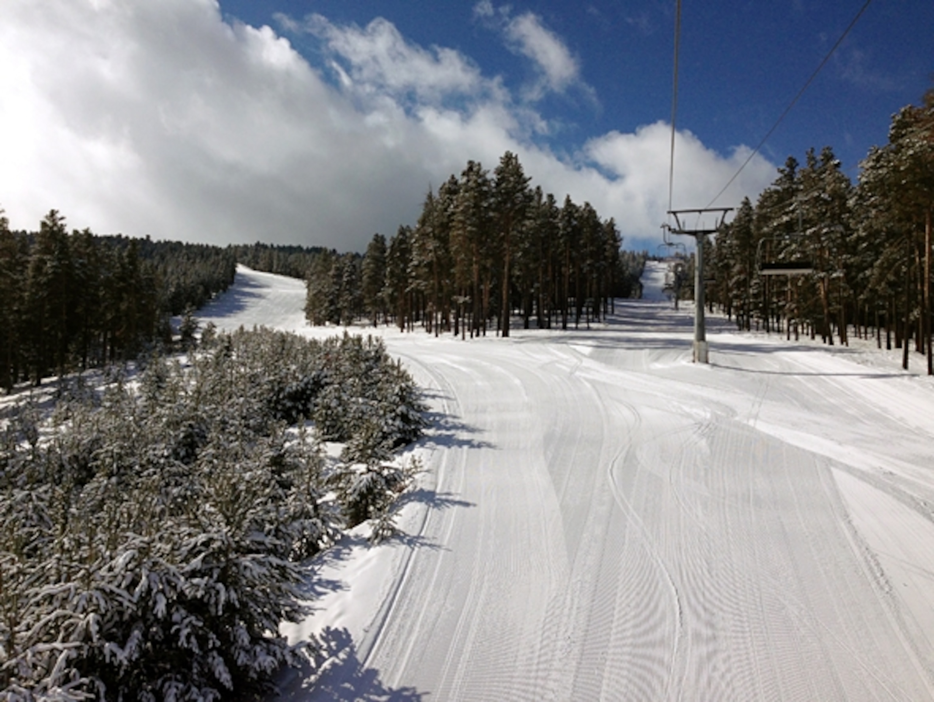 Photography by Cat Jaffee