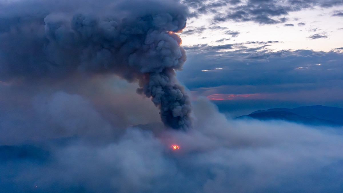 Dispatch From a World on Fire