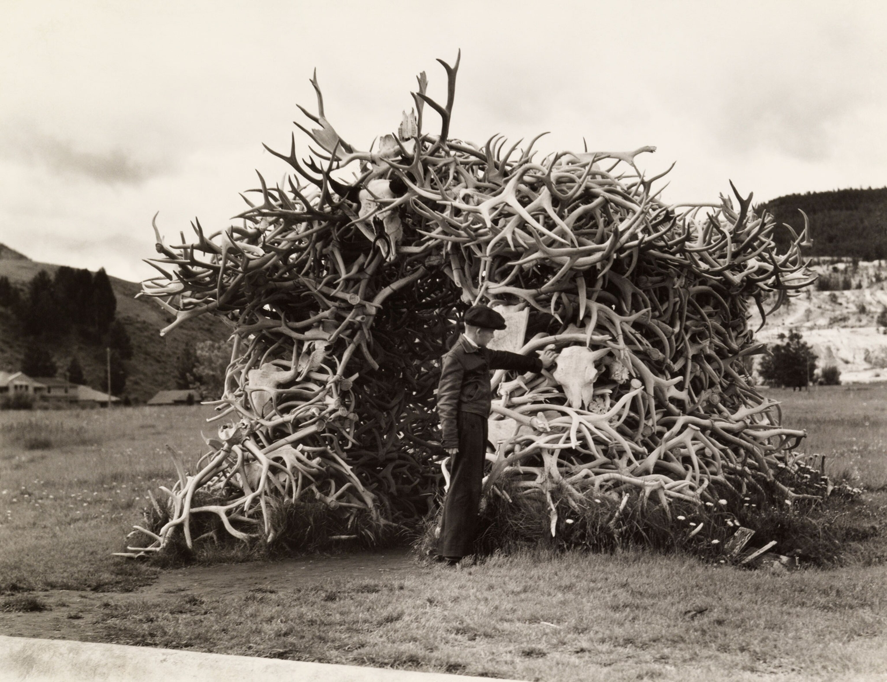 Yellowstone National Park