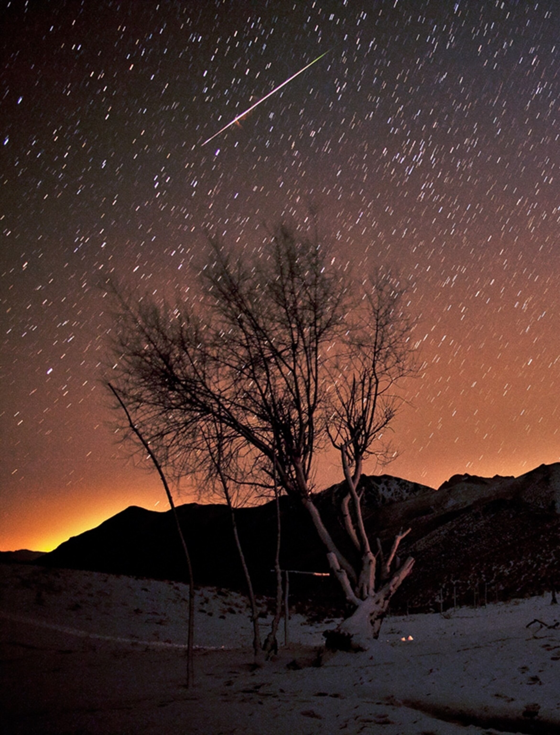 A Geminid meteor above Iran's Zagros Mountains (picture)