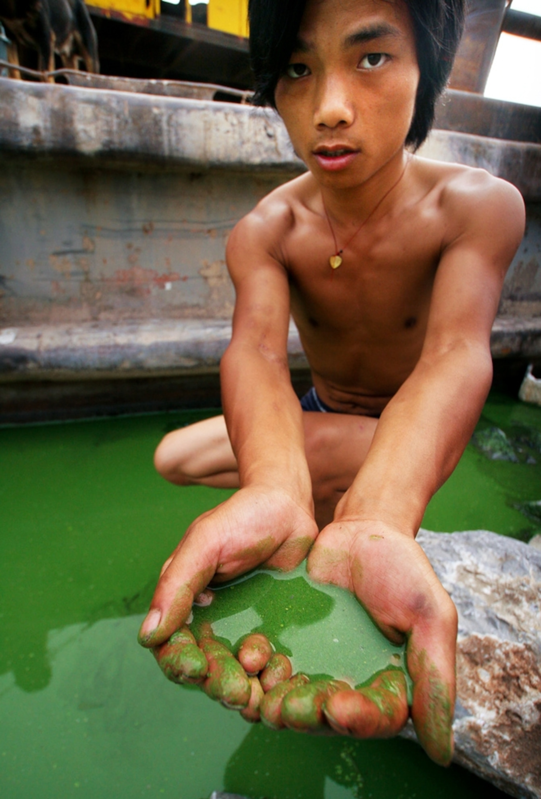 a young Chinese man cupping water filled with algae in his hands.
