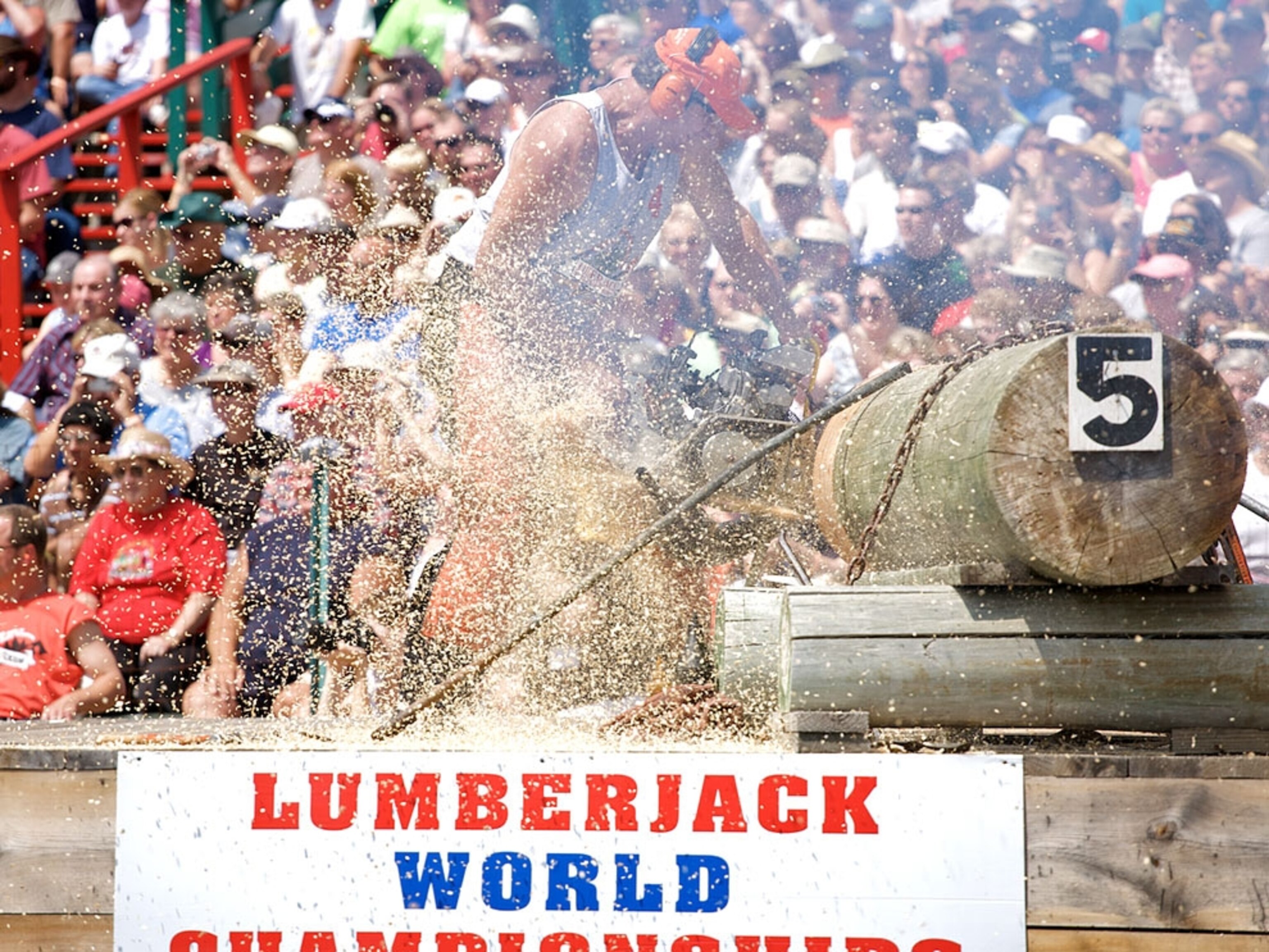 Crowds watching men use power saw on logs