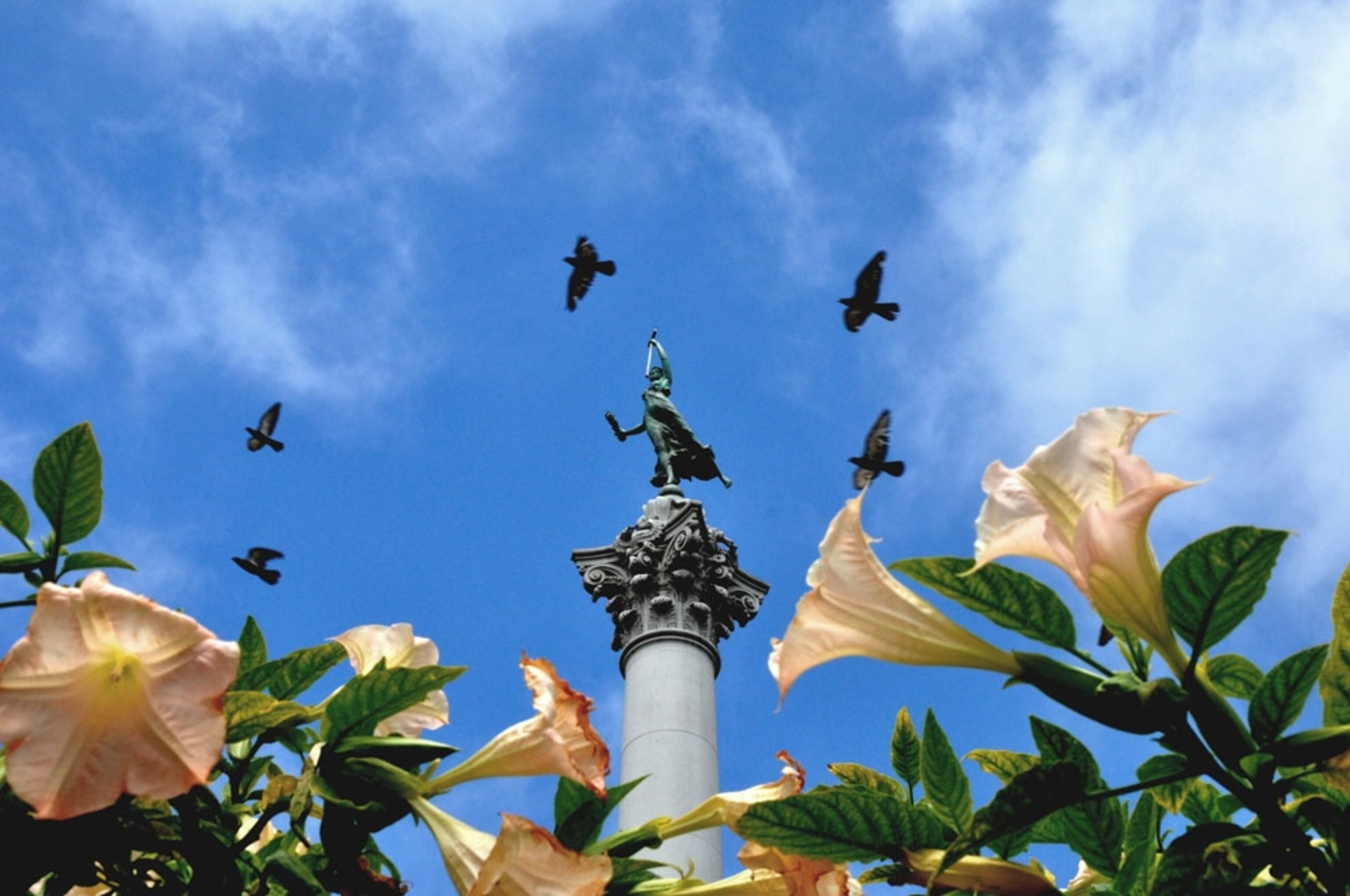 Union Square San Francisco fountain