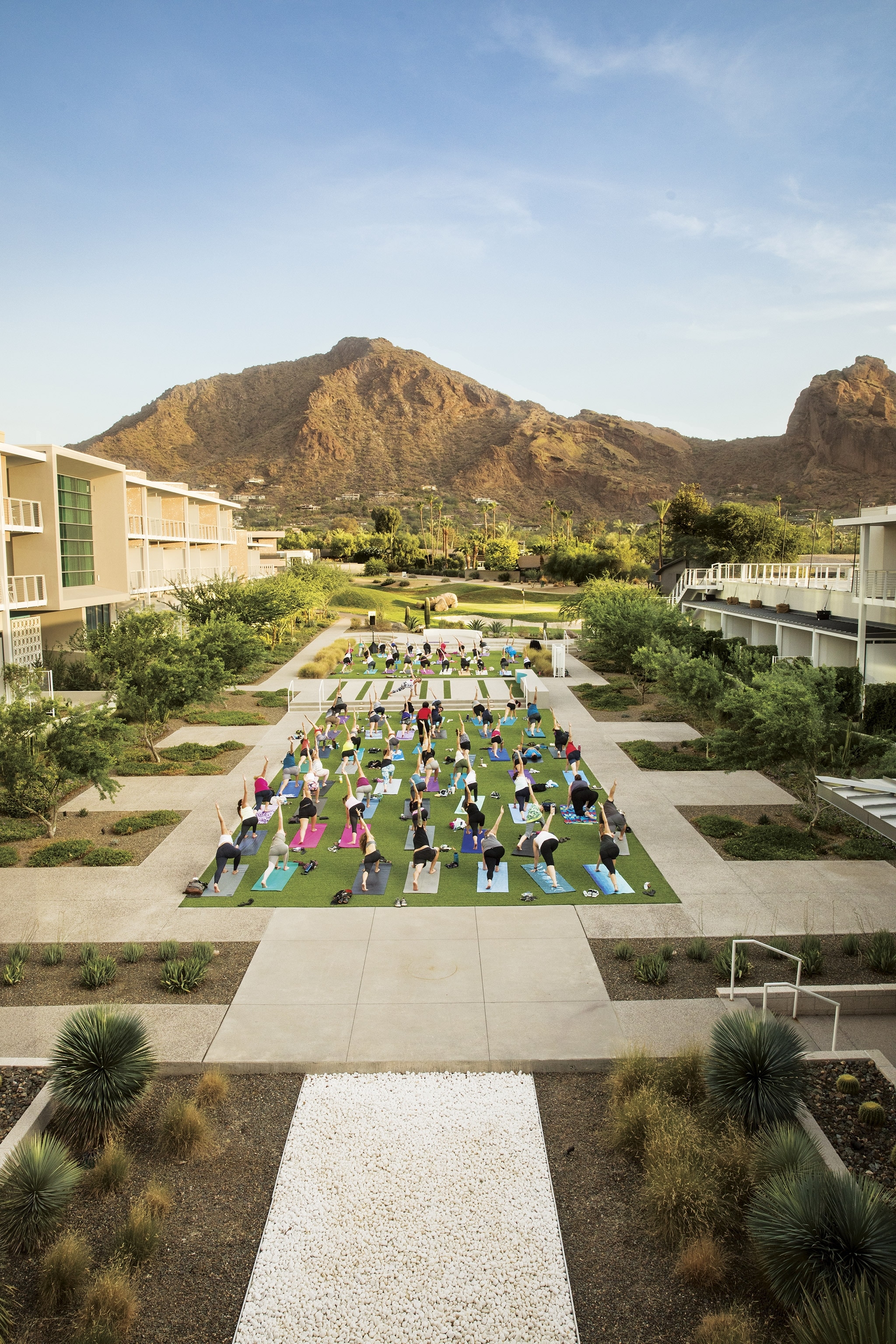 people doing yoga in Scottsdale, Arizona