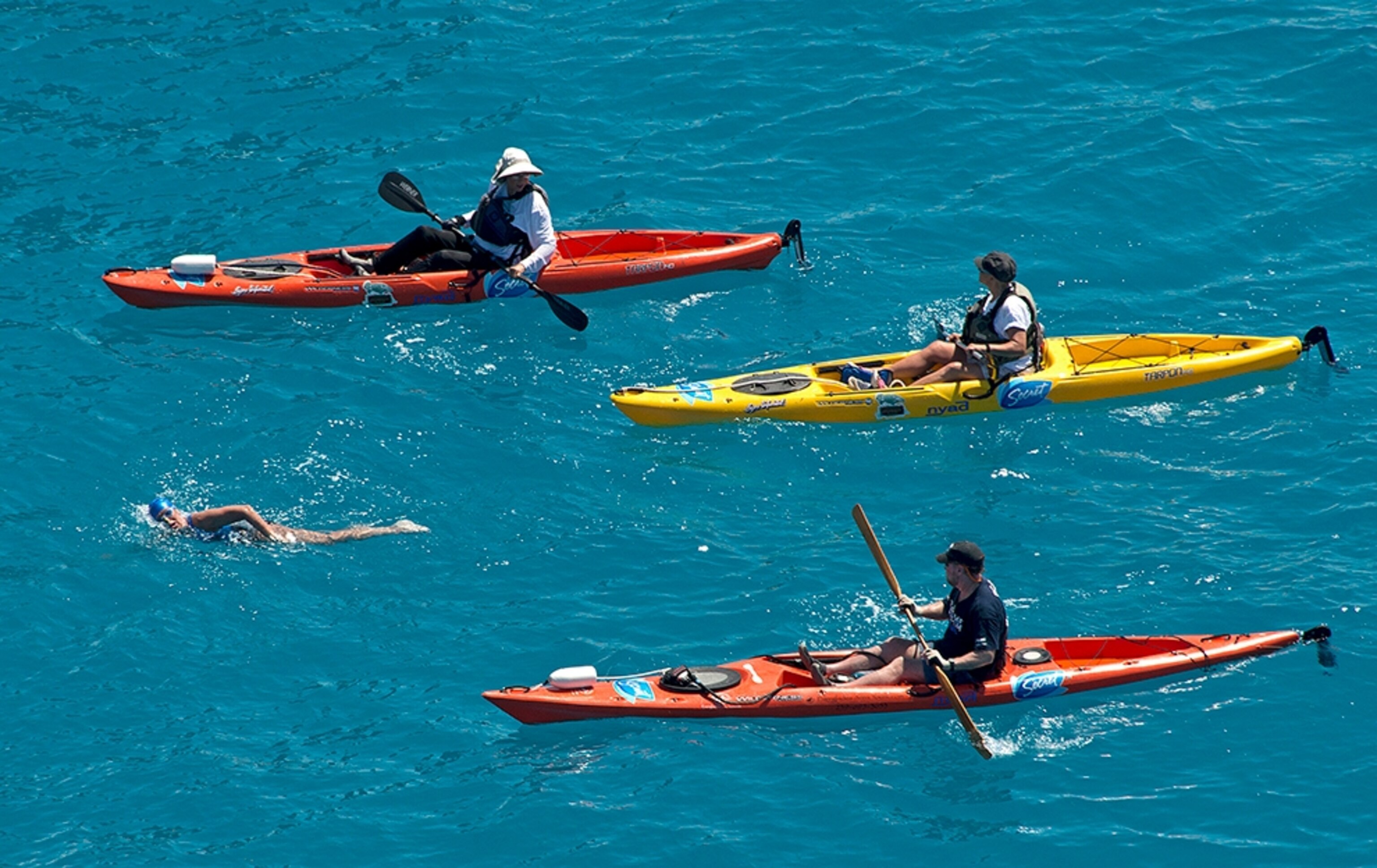 Diana Nyad swimming from Cuba to Key West, Florida