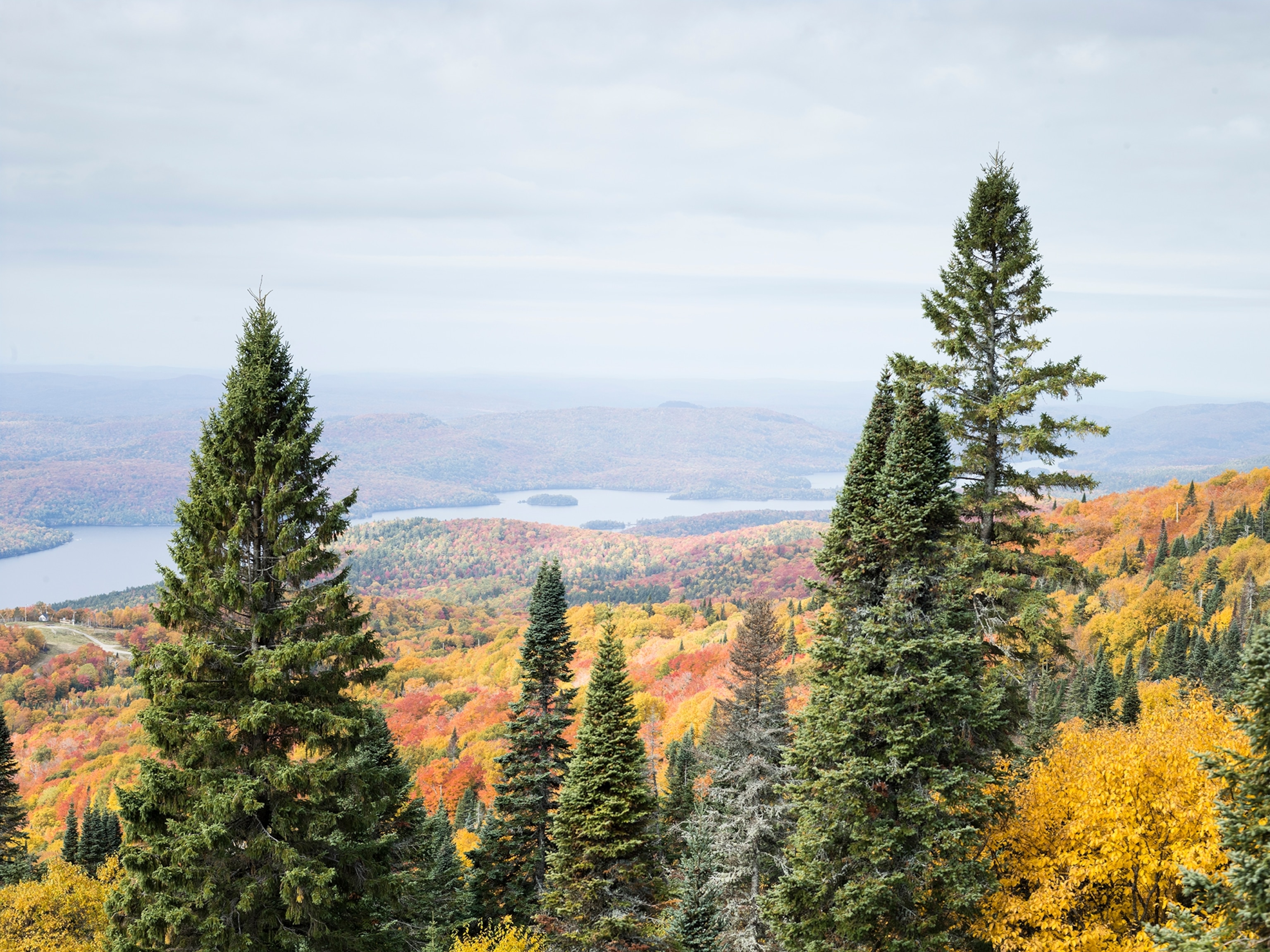 the Laurentian Mountains in Mont-Tremblant, Canada