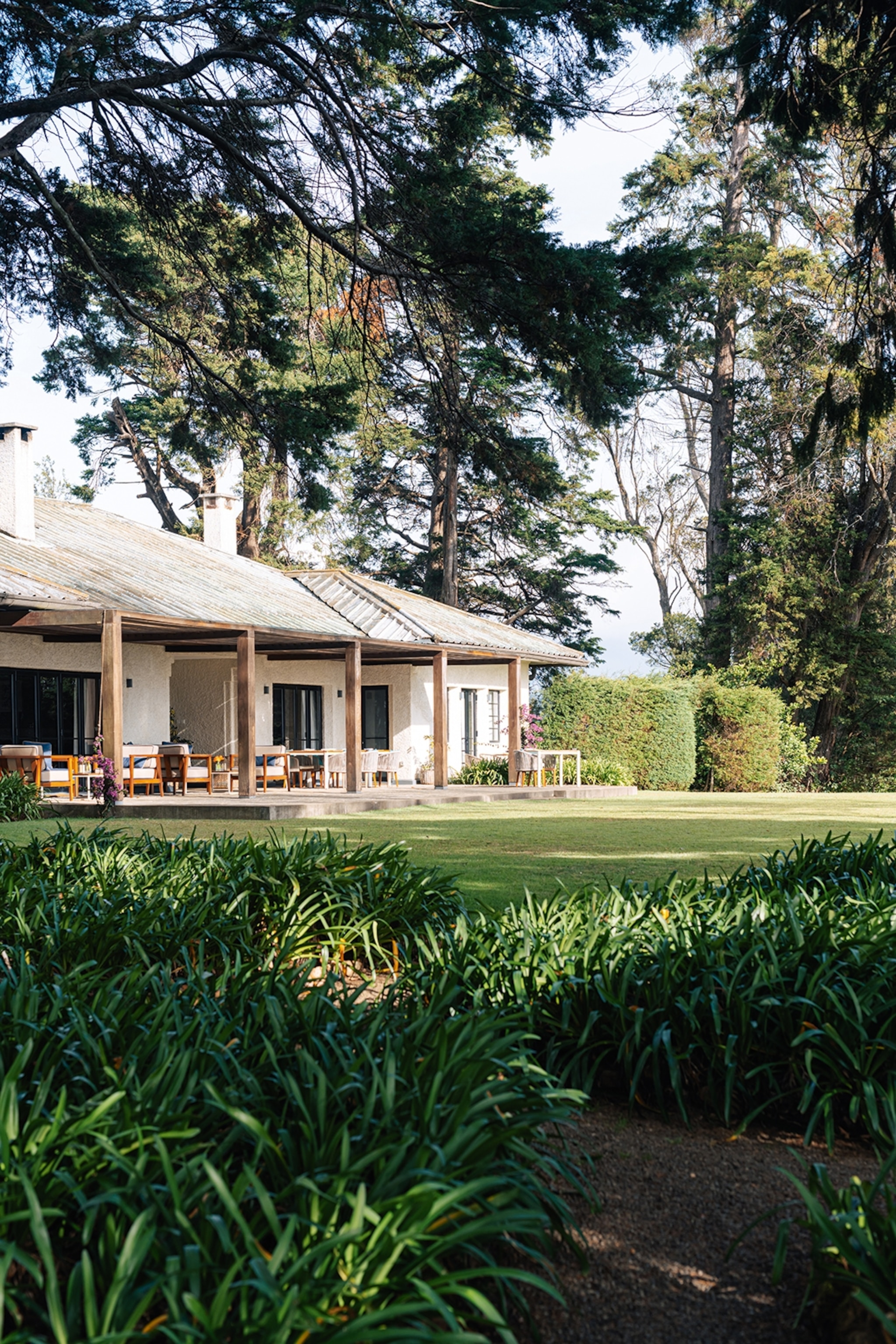 A focused view onto a bungalow house with wooden pilars and lounge chairs on a stone veranda, surrounded by tall trees.