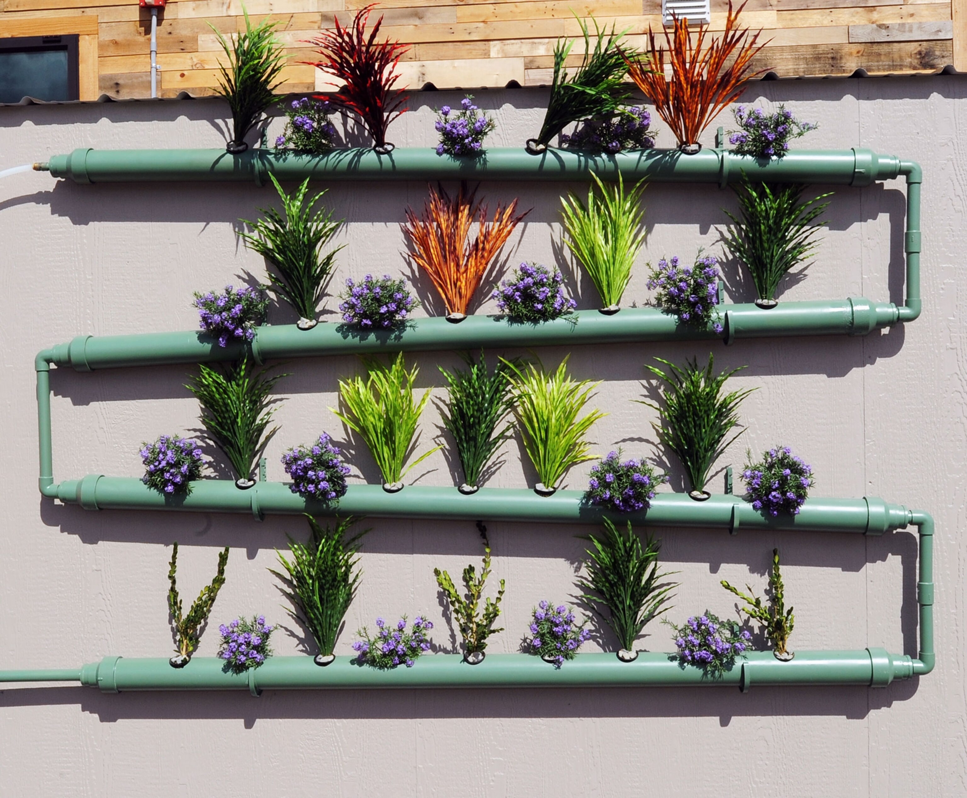 hydroponic garden watered by triple filtered recycled gray water