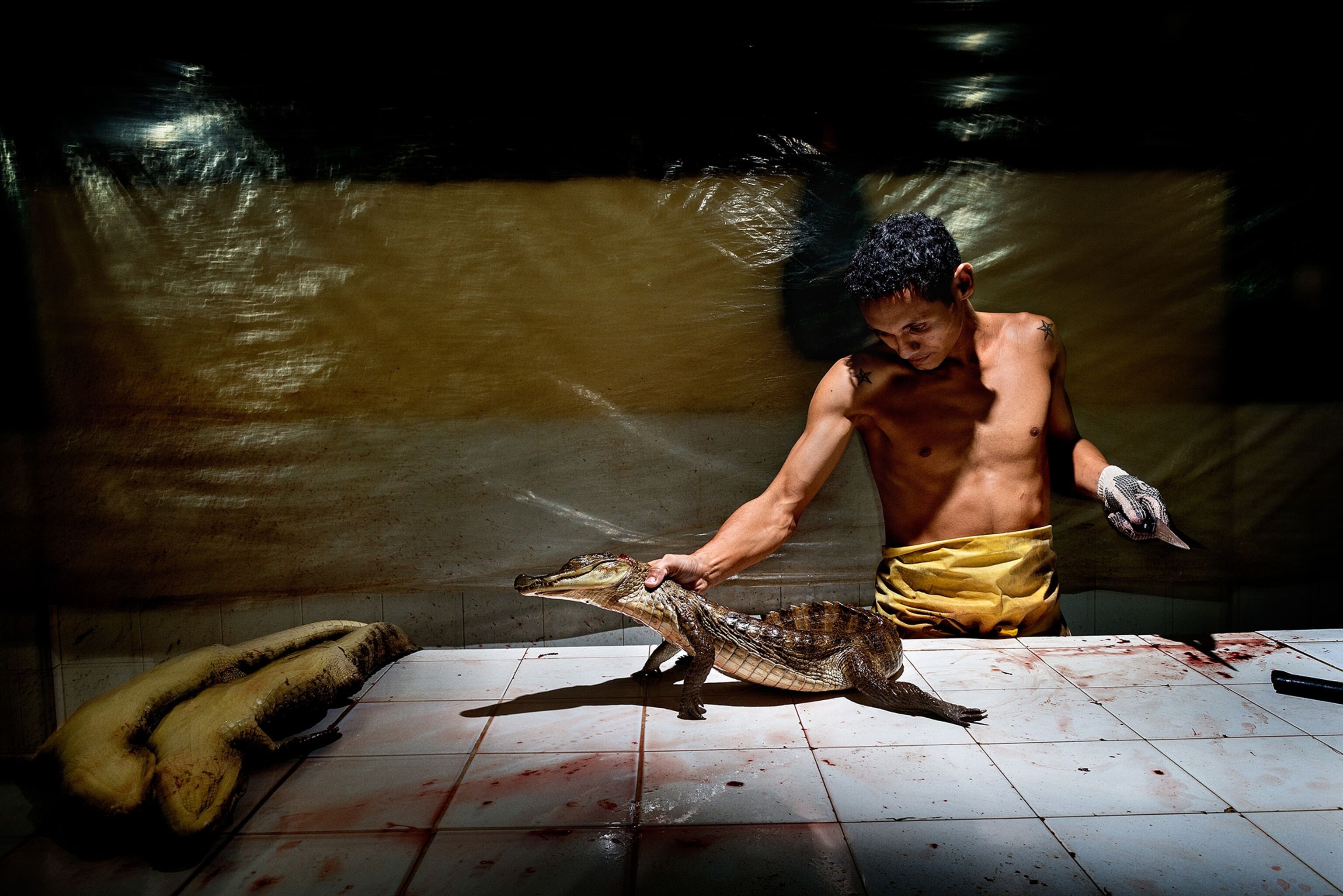 a man cutting the skin off of a caiman