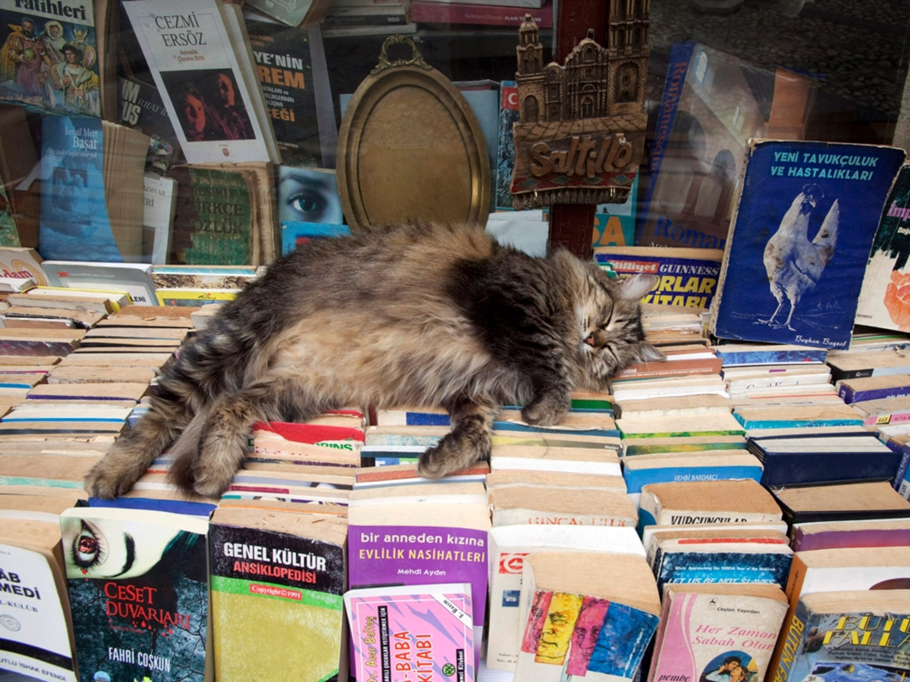 Beyoglu neighborhood of Istanbul.