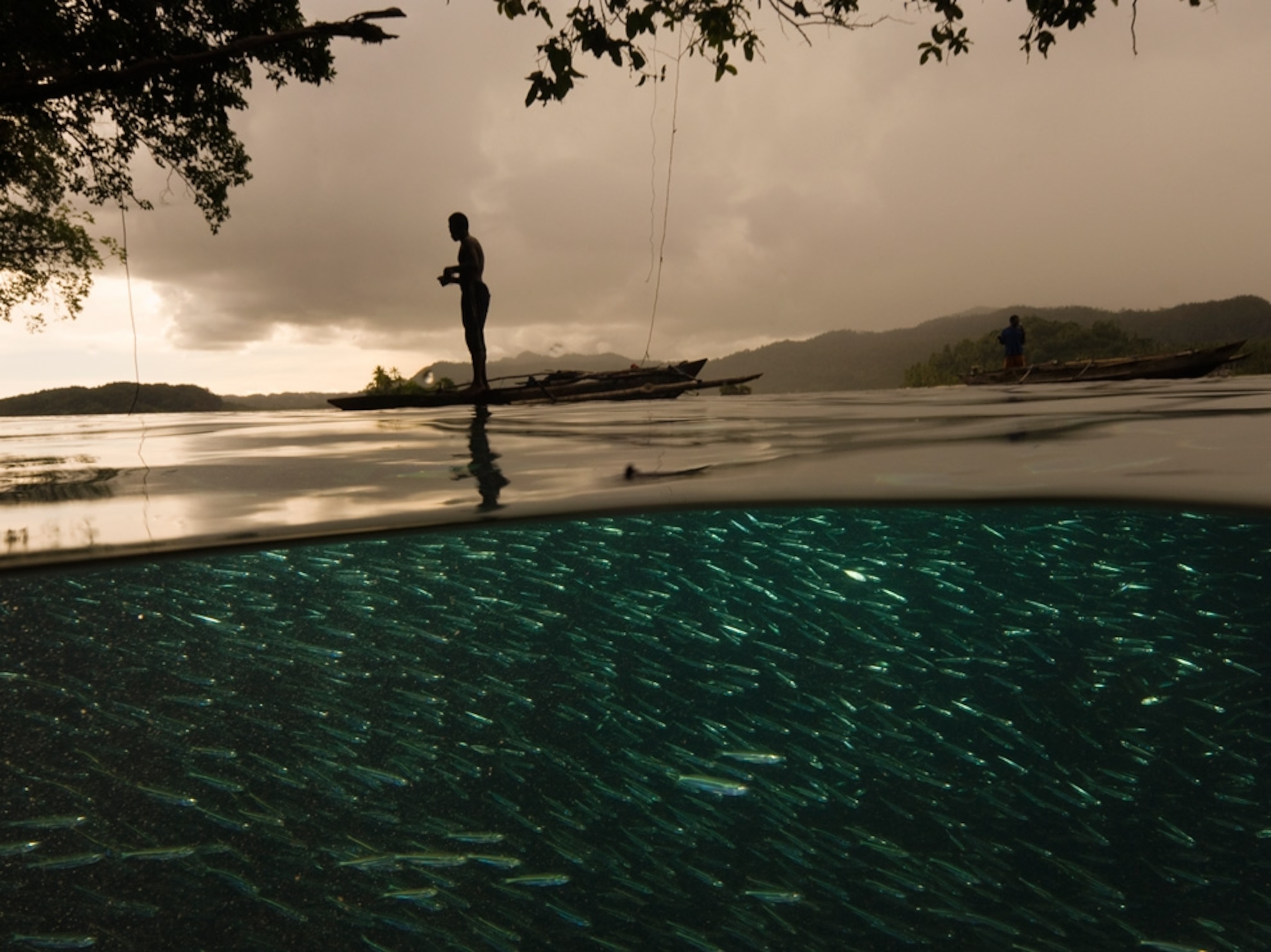 Fishermen on boats while fish swim below in Indonesia