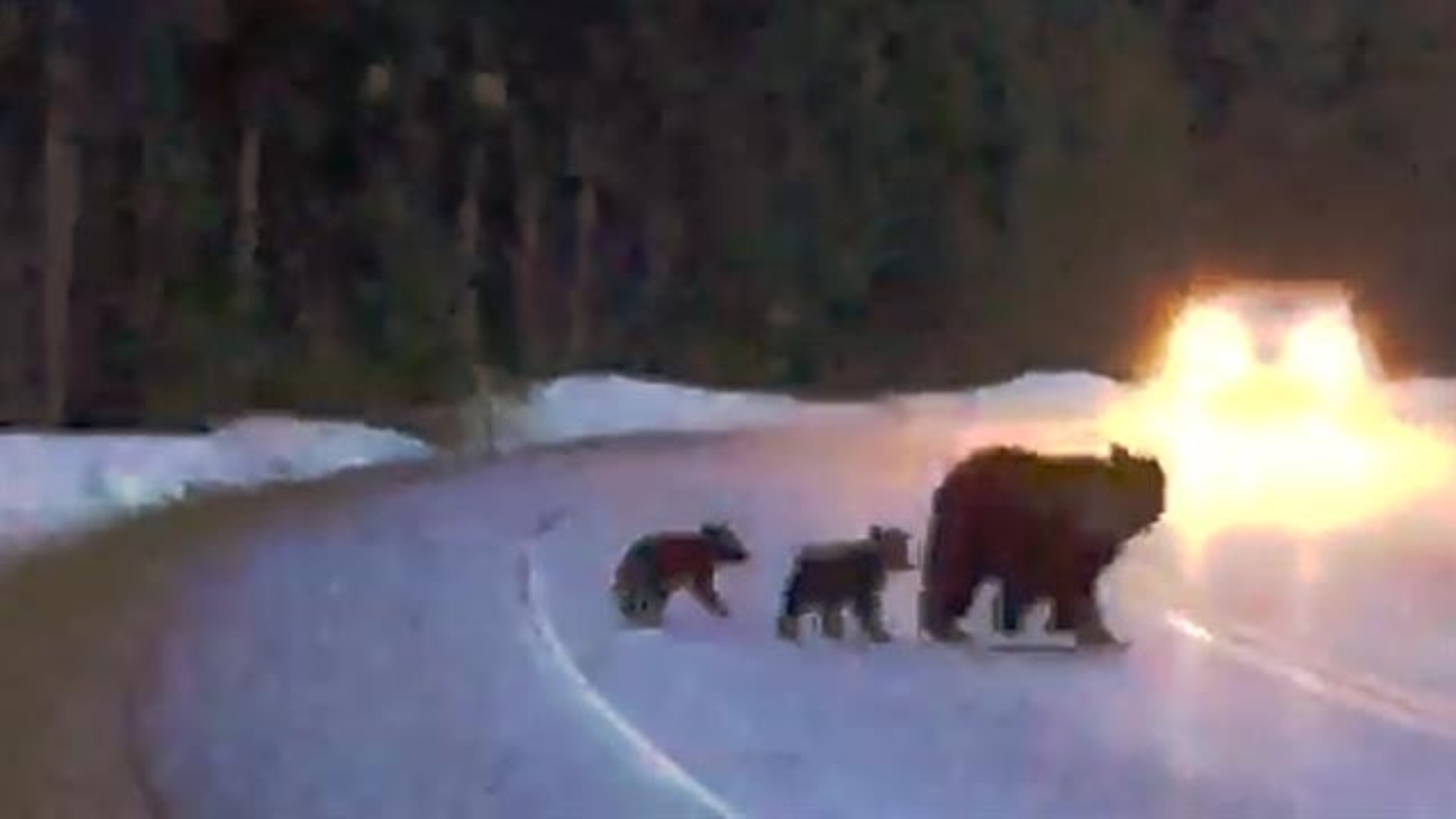 0000015c-1d73-dd1b-afff-