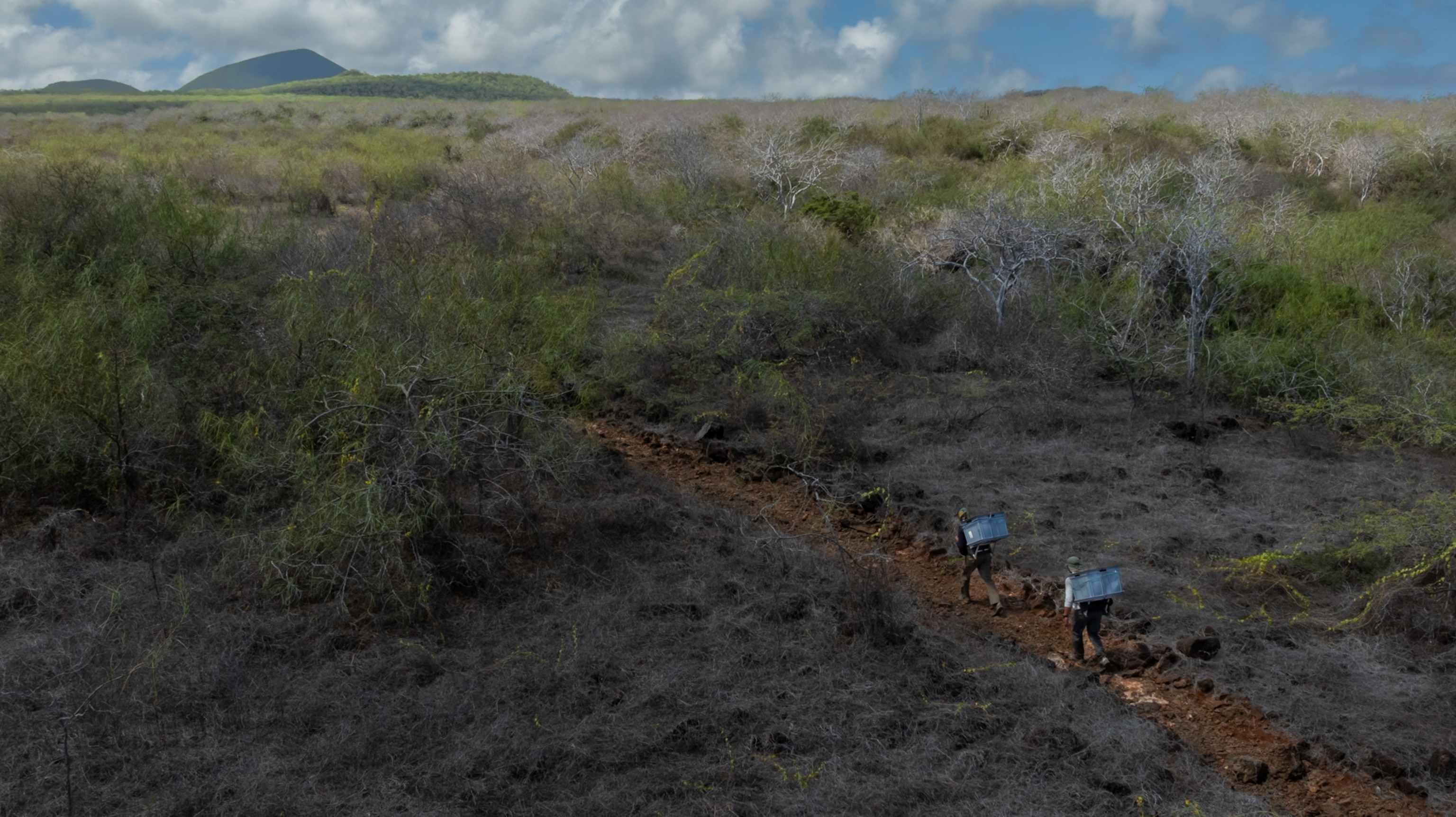 A wide shot of the Galapagos.