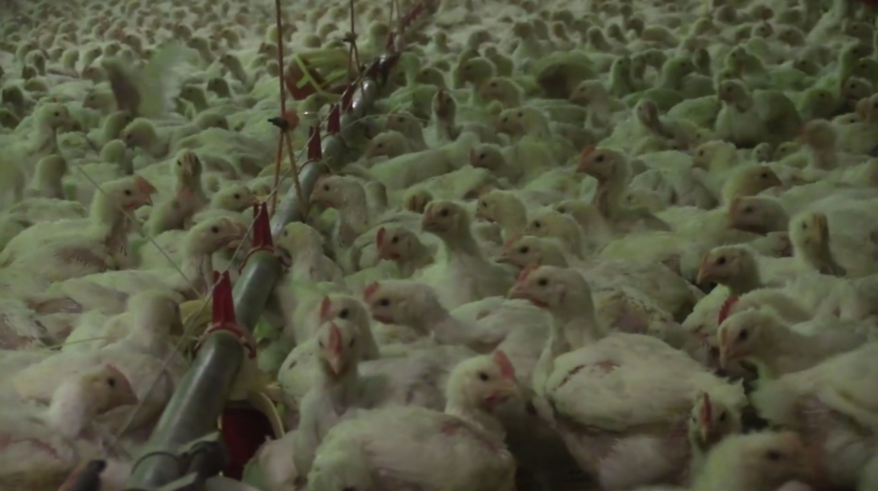 Screen Shot 2014-06-30 at 3.32.17 PM