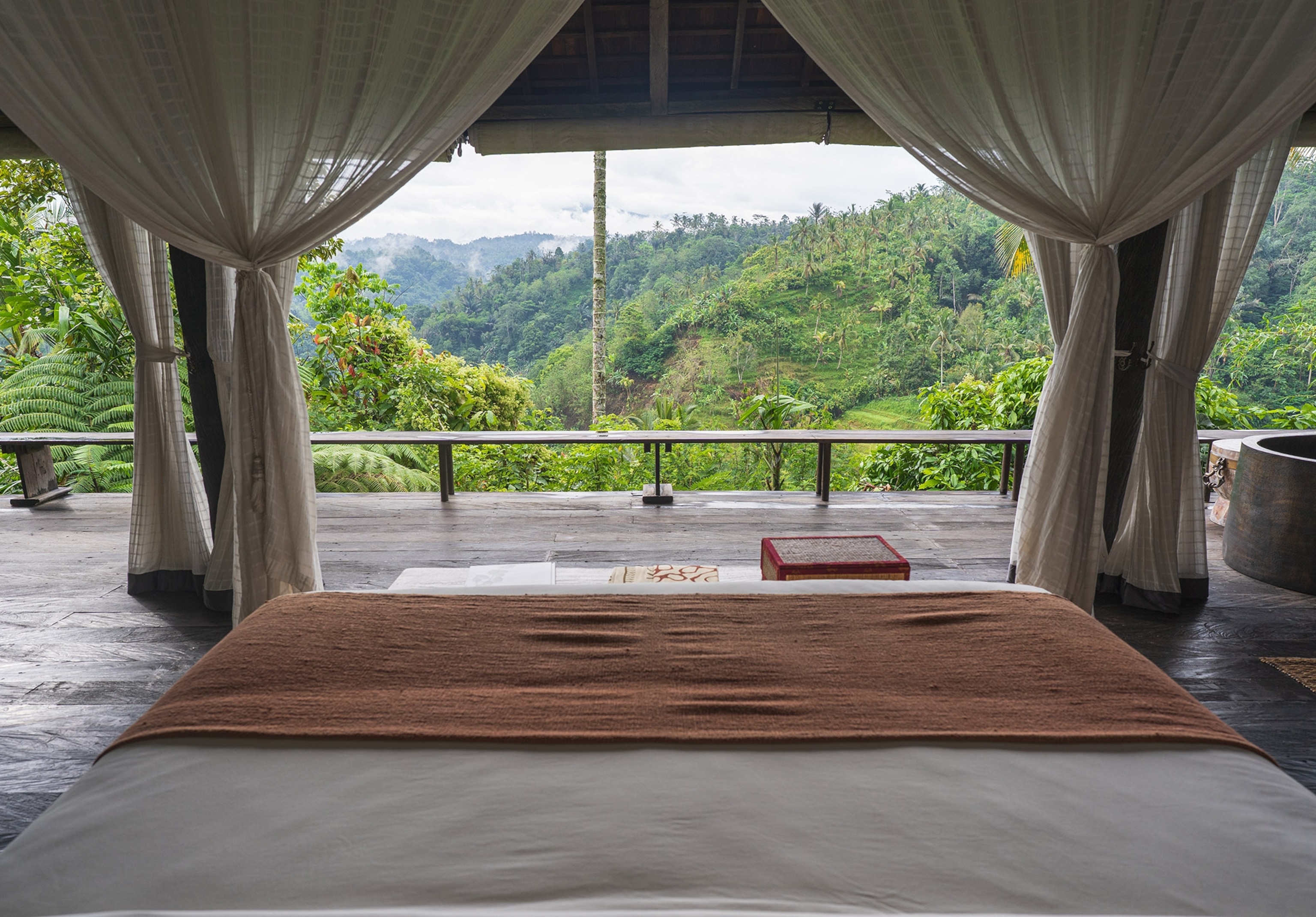 A view of a lush jungle seen from an airy hotel room