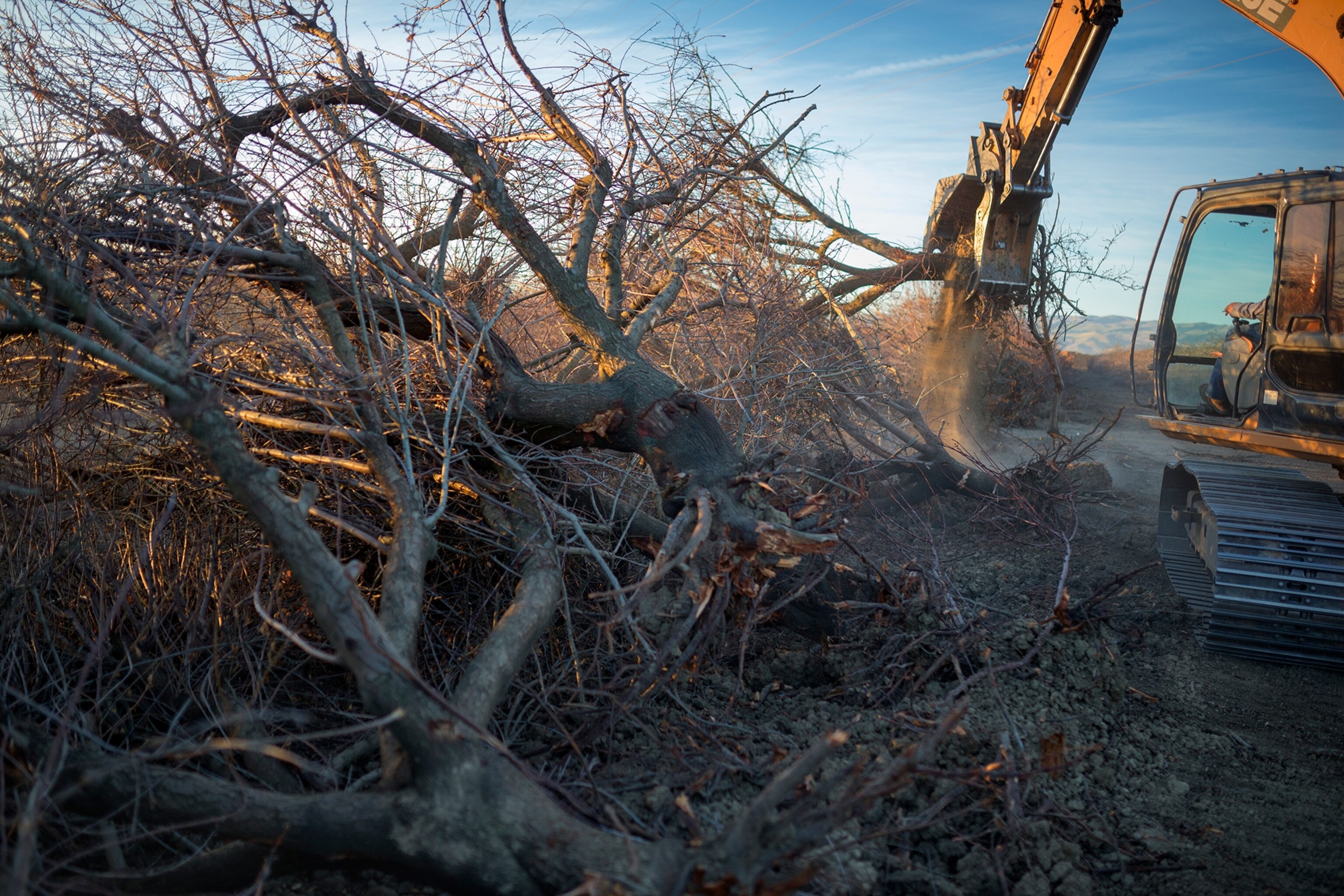 San Joaquin River, Near Los Banos, CA
