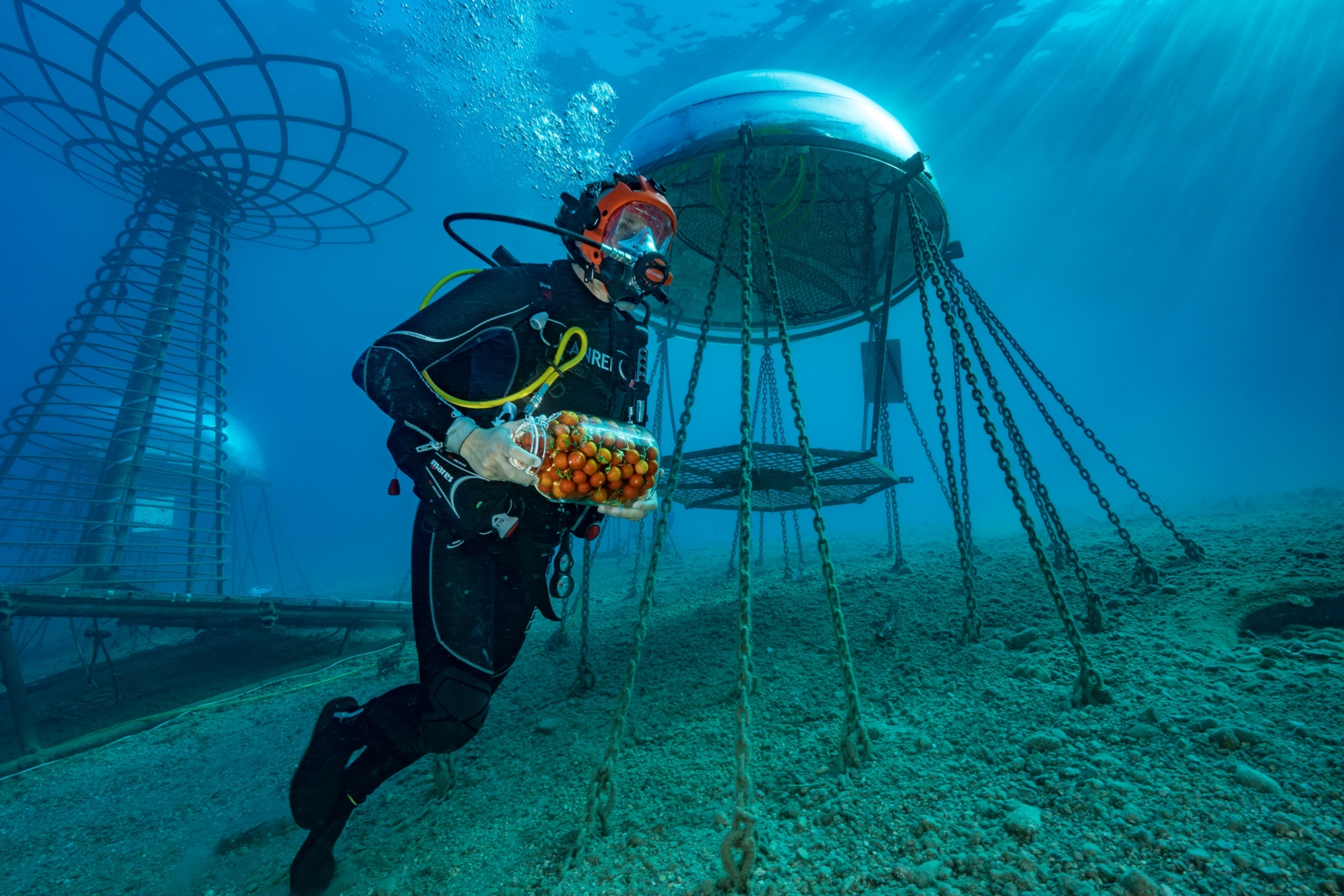 diver holding a bag with red tomatoes.