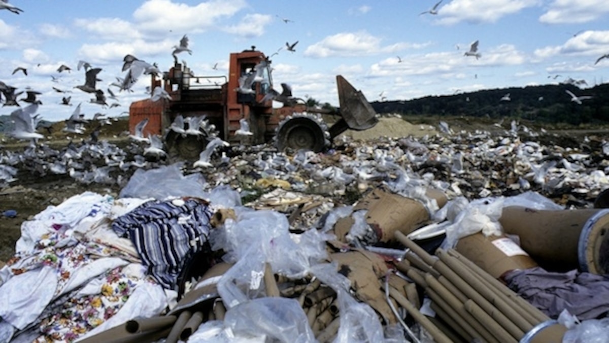 Sweden Needs More Trash