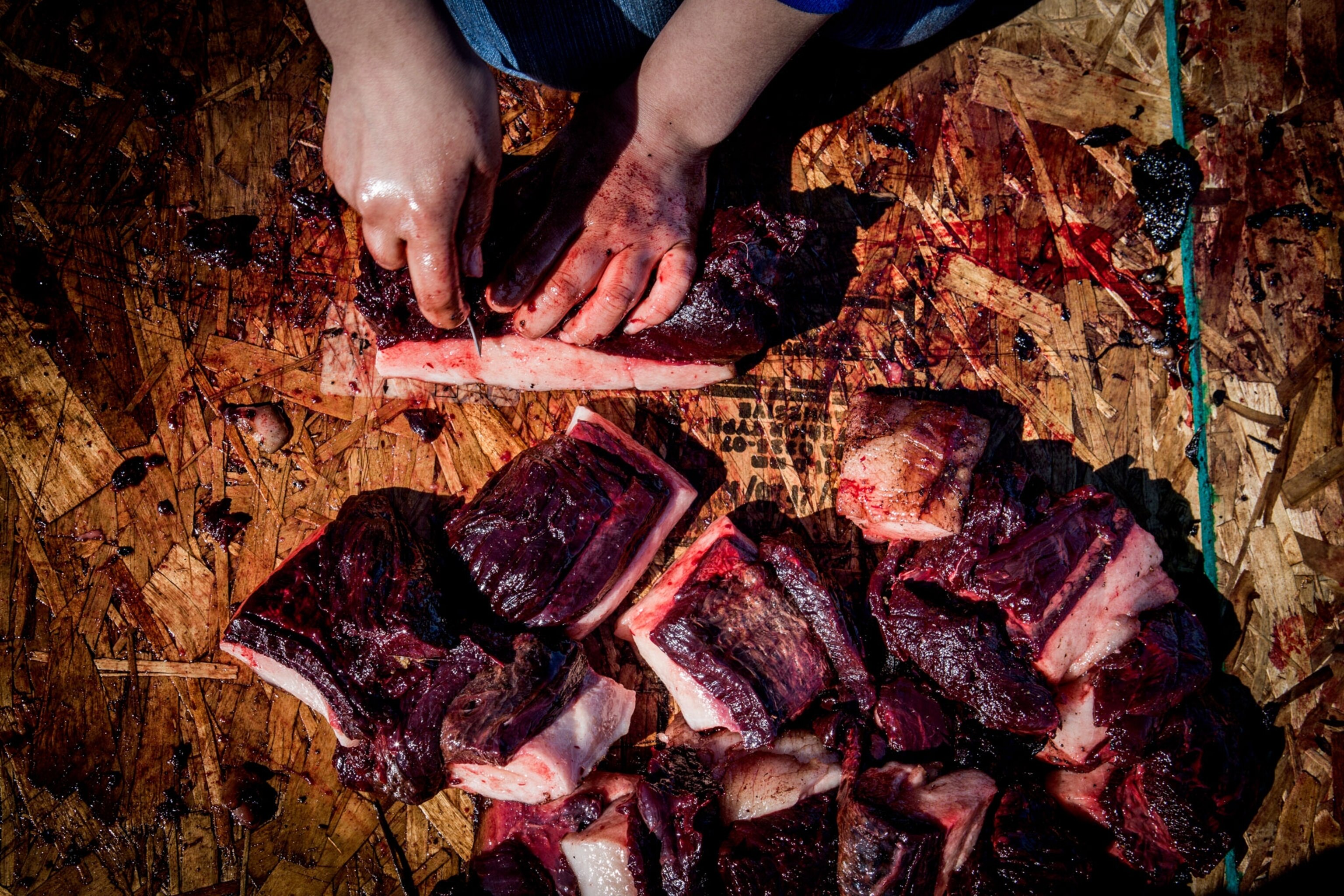 a person cutting seal meat in Alaska