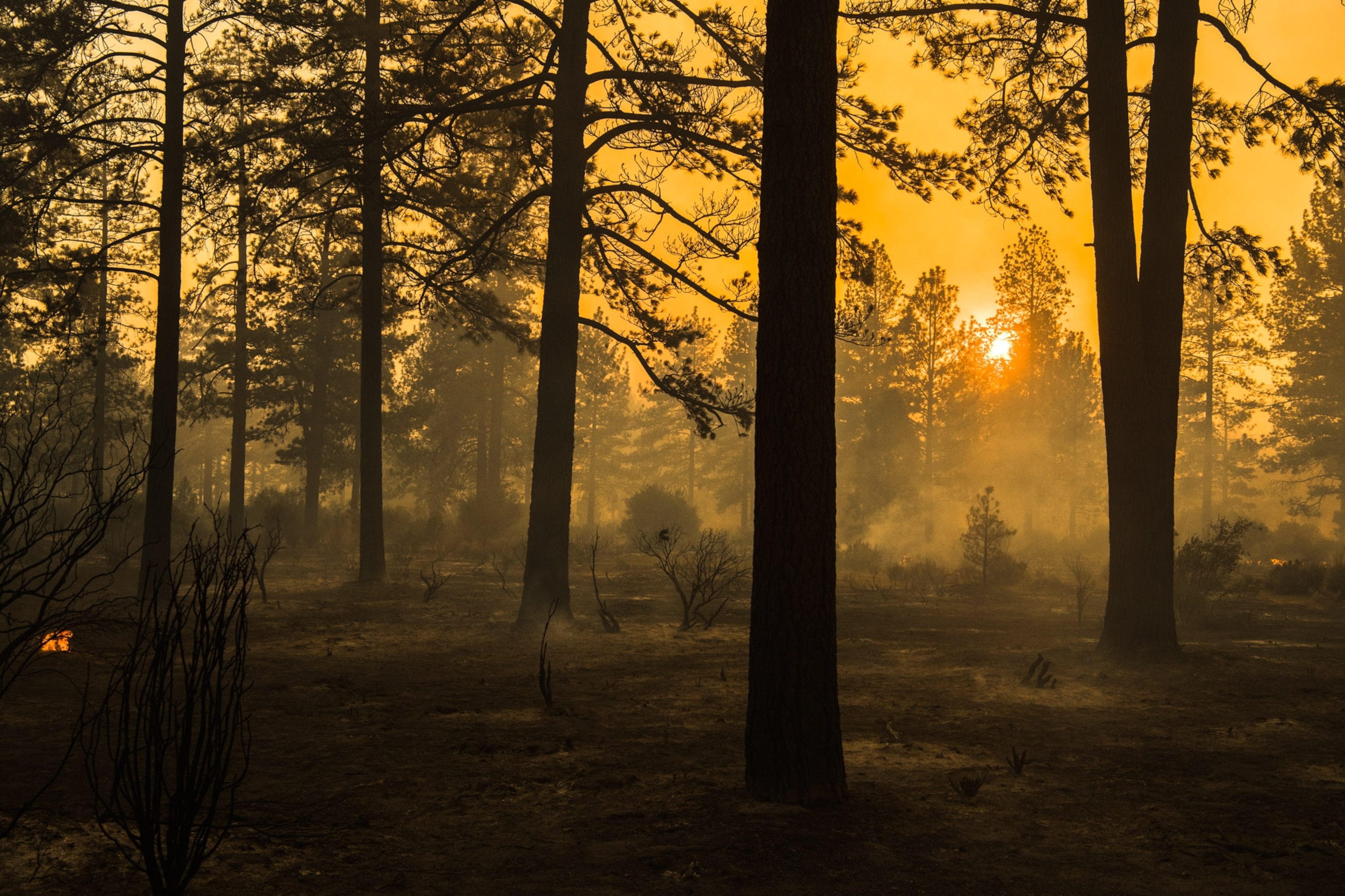 California wildfires