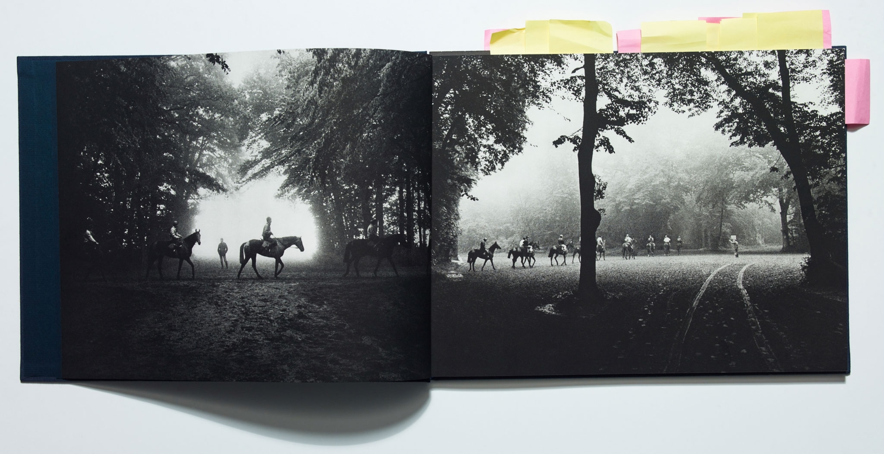 From the book Dark Horses