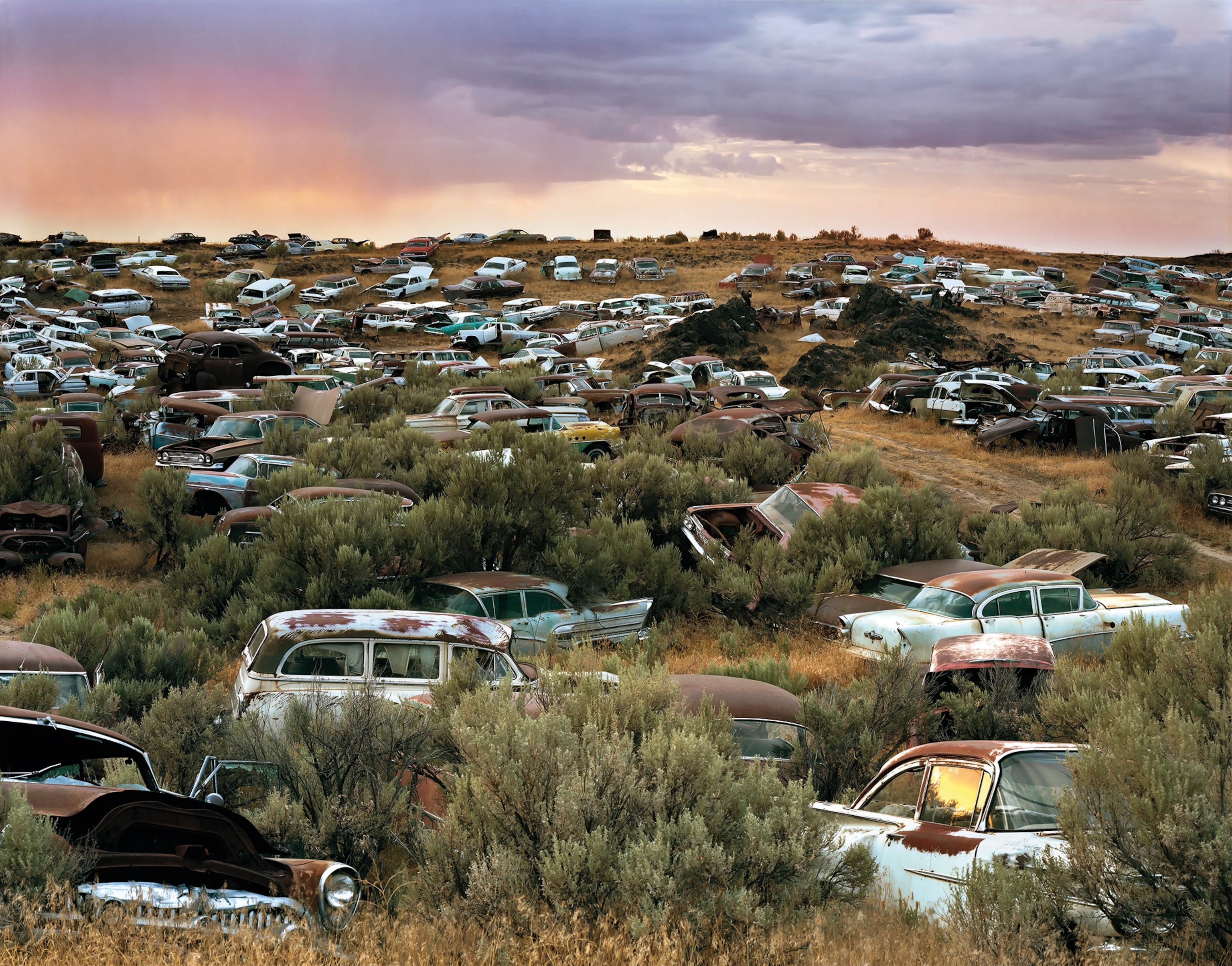Dozens of old cars sit in a deserted landscape.