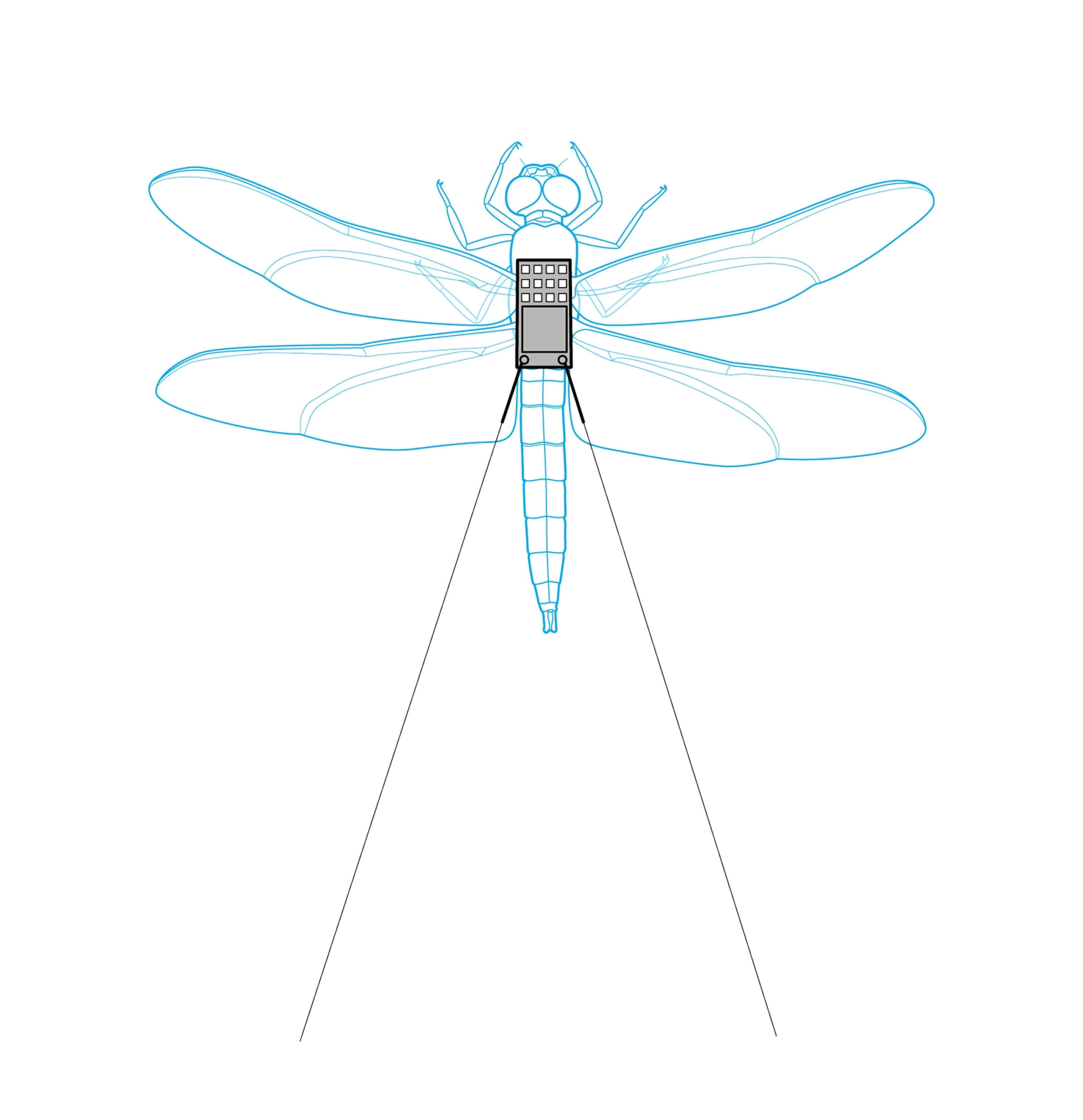An artist's rendering of a Leonardo Labs' dragonfly showing the electronic backpack that helps scientists study the way it flies.