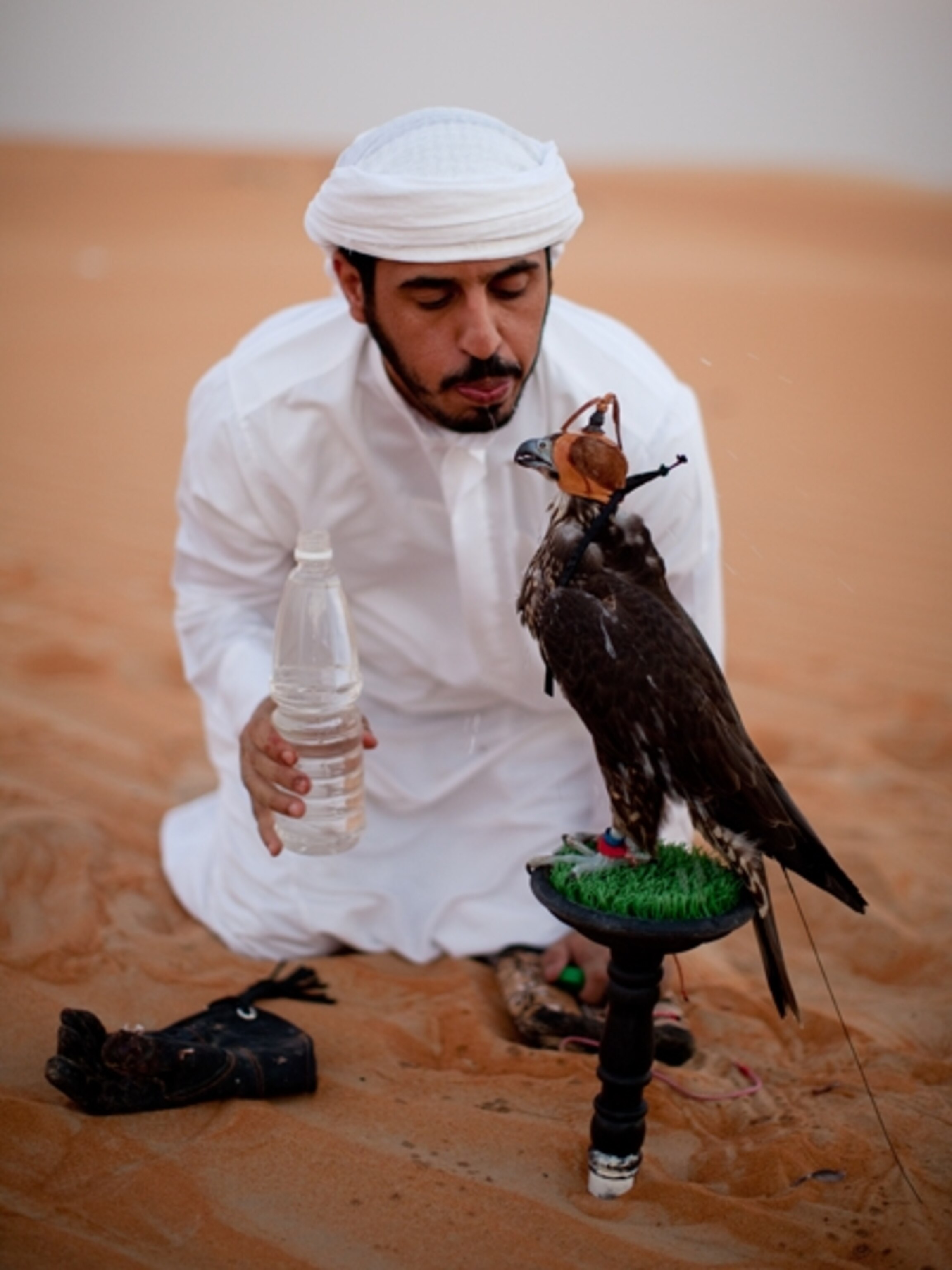 a Bedouin man spritzing falcon with water
