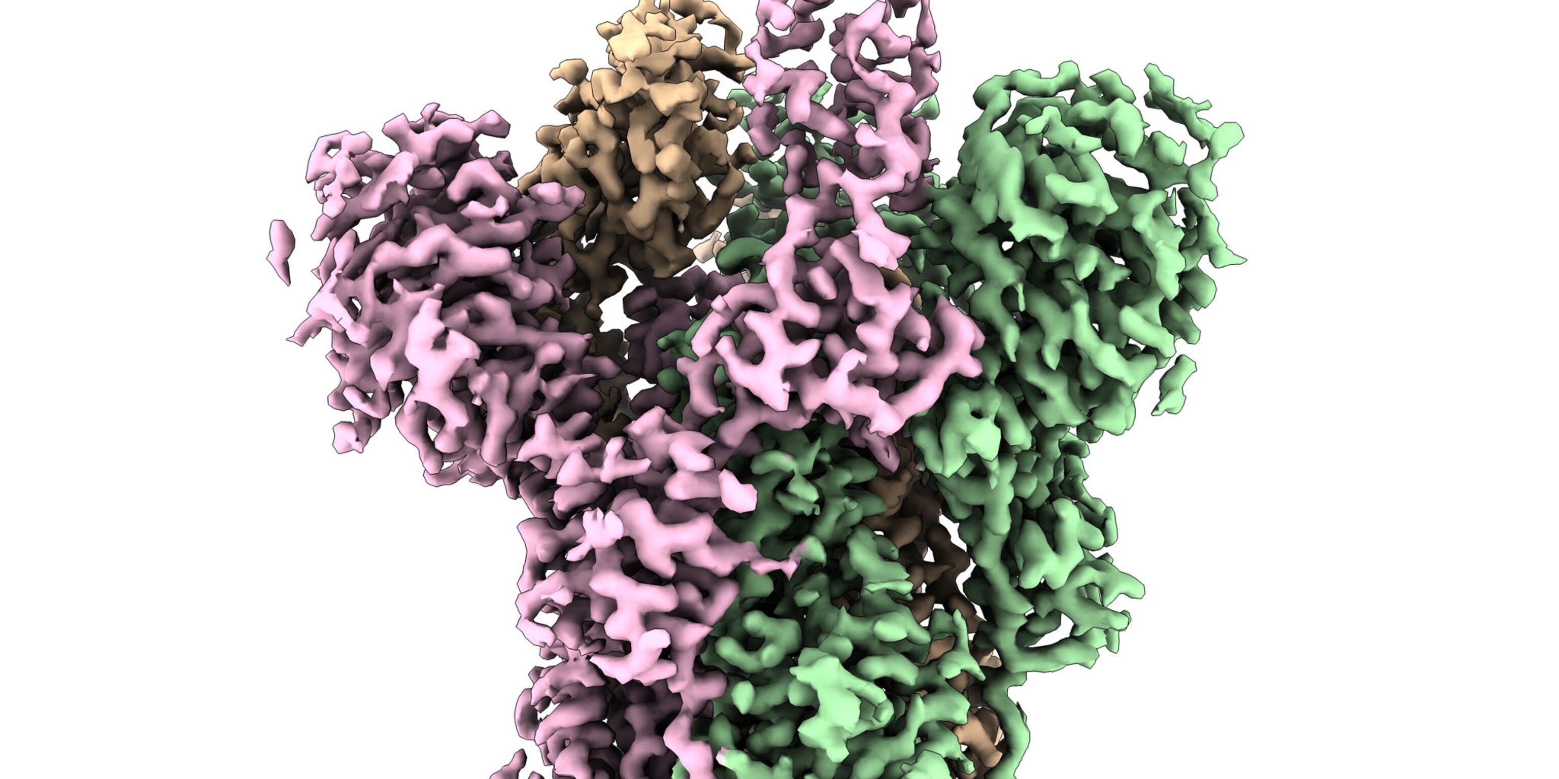 They spent 12 years solving a scientific puzzle. It yielded the first  COVID-19 vaccines.