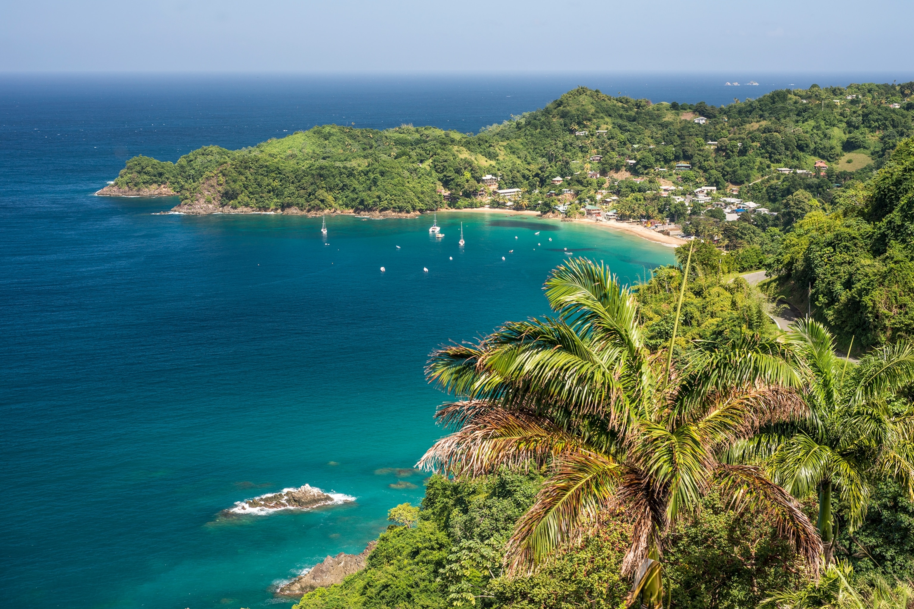 A wide bird's eye shot of a beach bay, with houses and thick vegetation lining the shore and land.