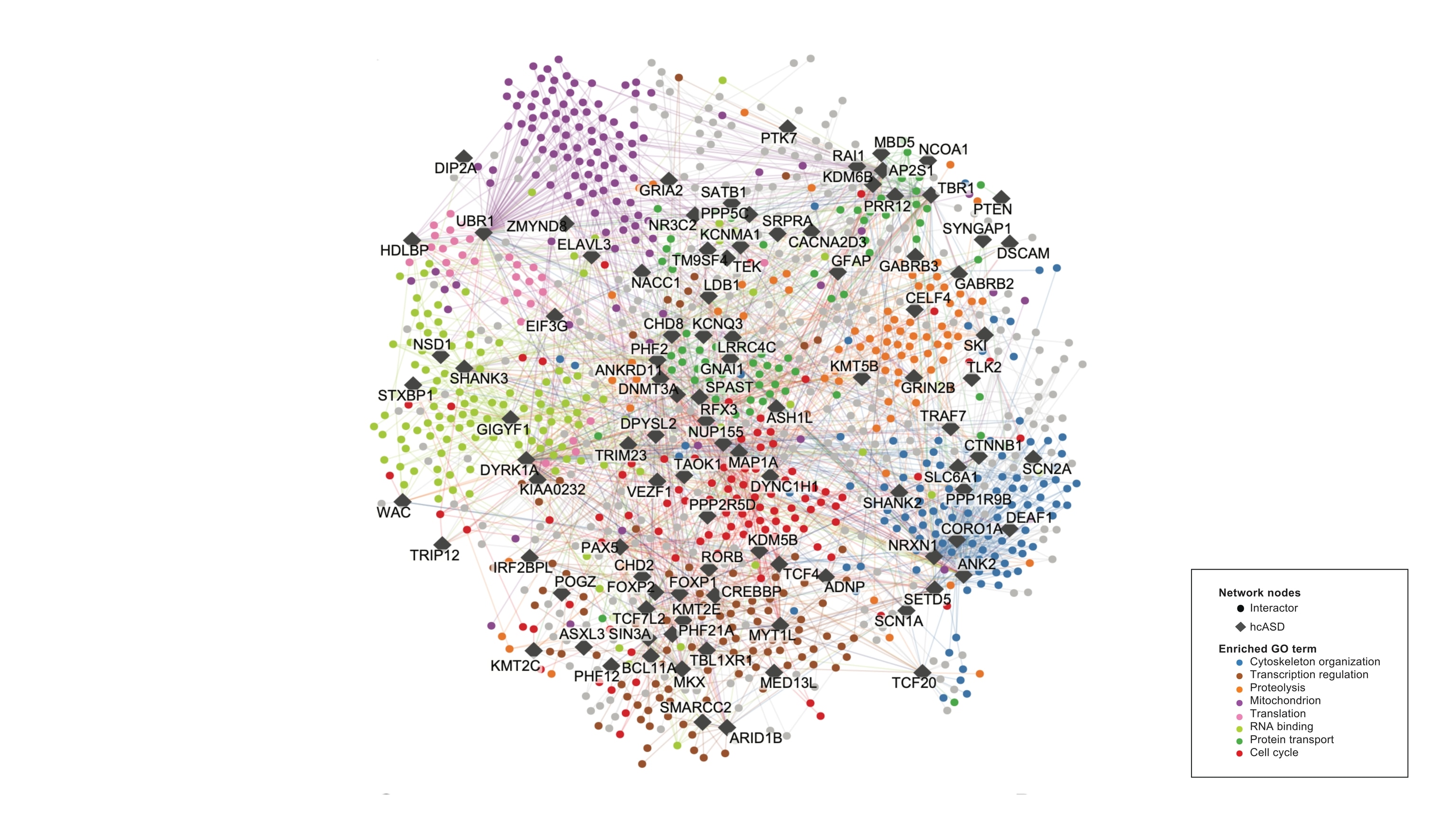 A cluster of colorful dots are connected against a white background