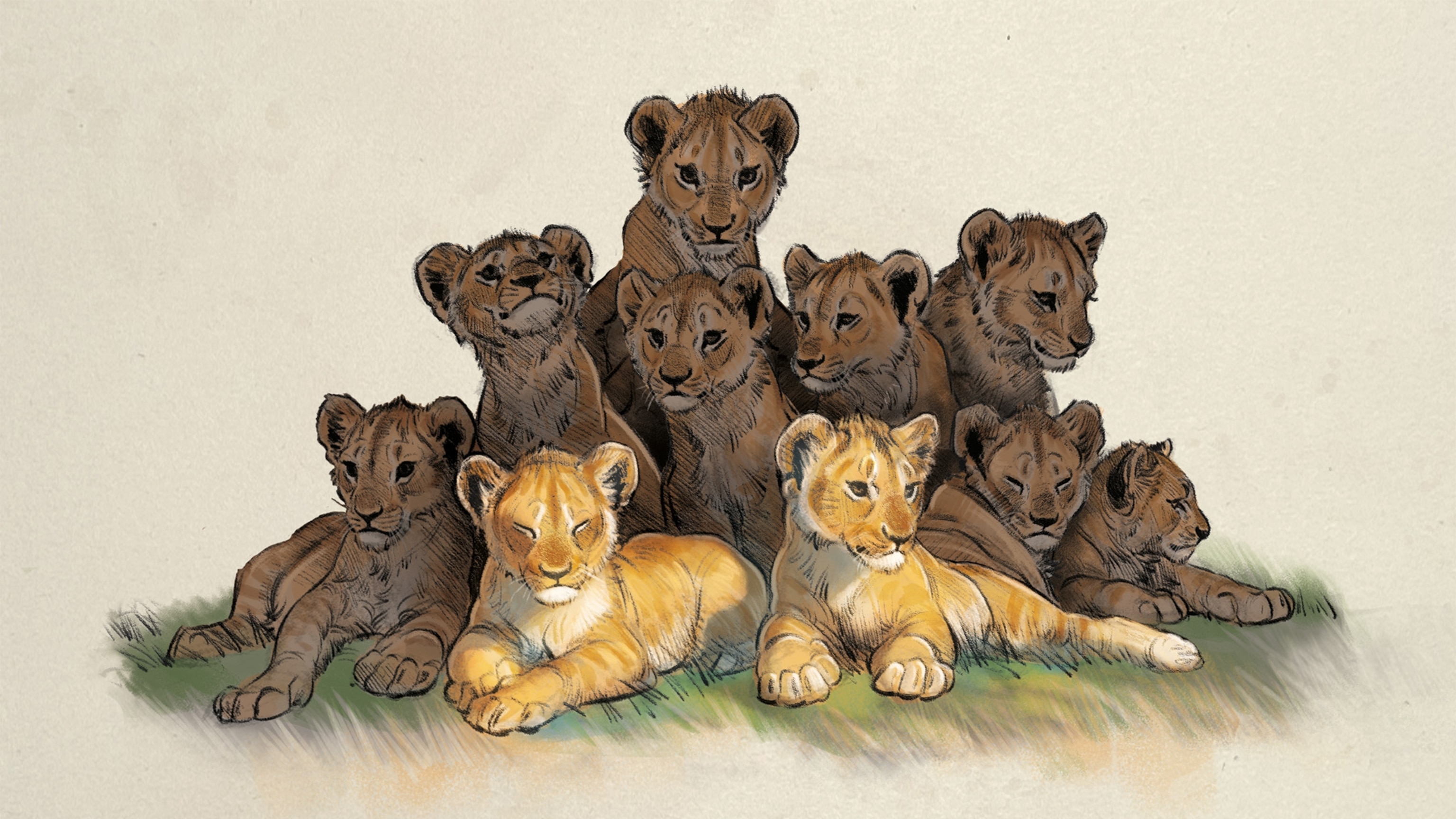 The Hard Reign of Africa’s Last Lions