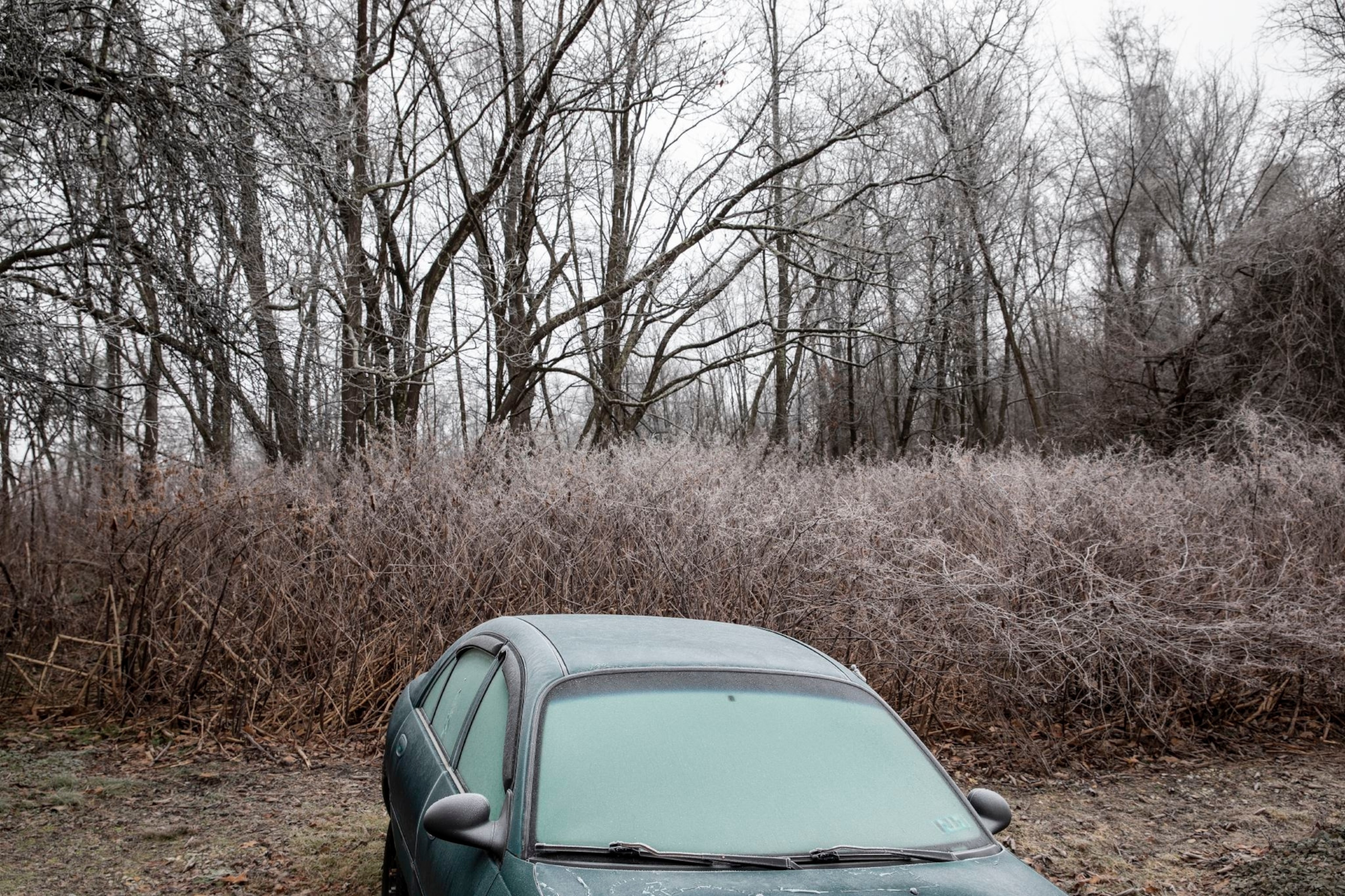 Frost on a roadside car and in the grass and trees in the early morning