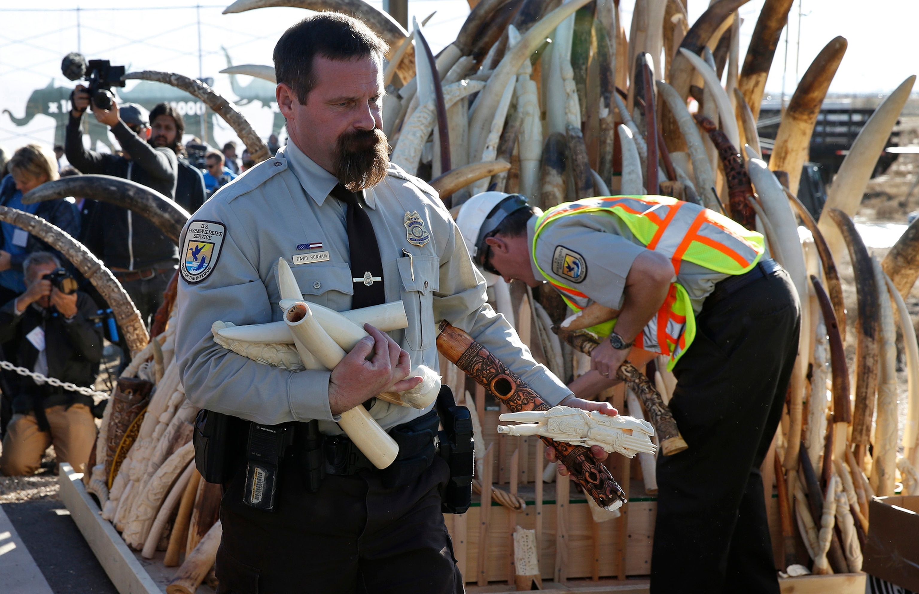 Dehorned to deter poachers, rangers protect a tame northern white rhino.