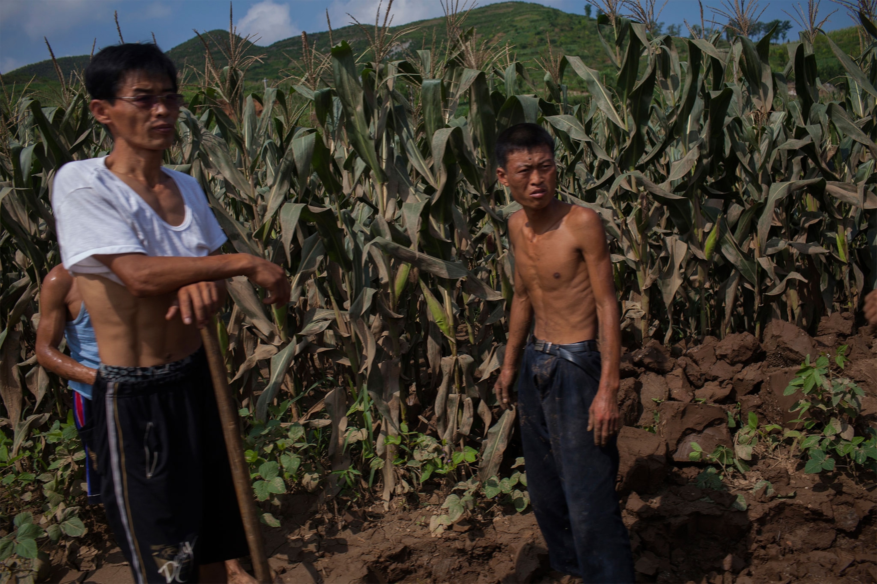 North Korean men standing in a field in North Korea