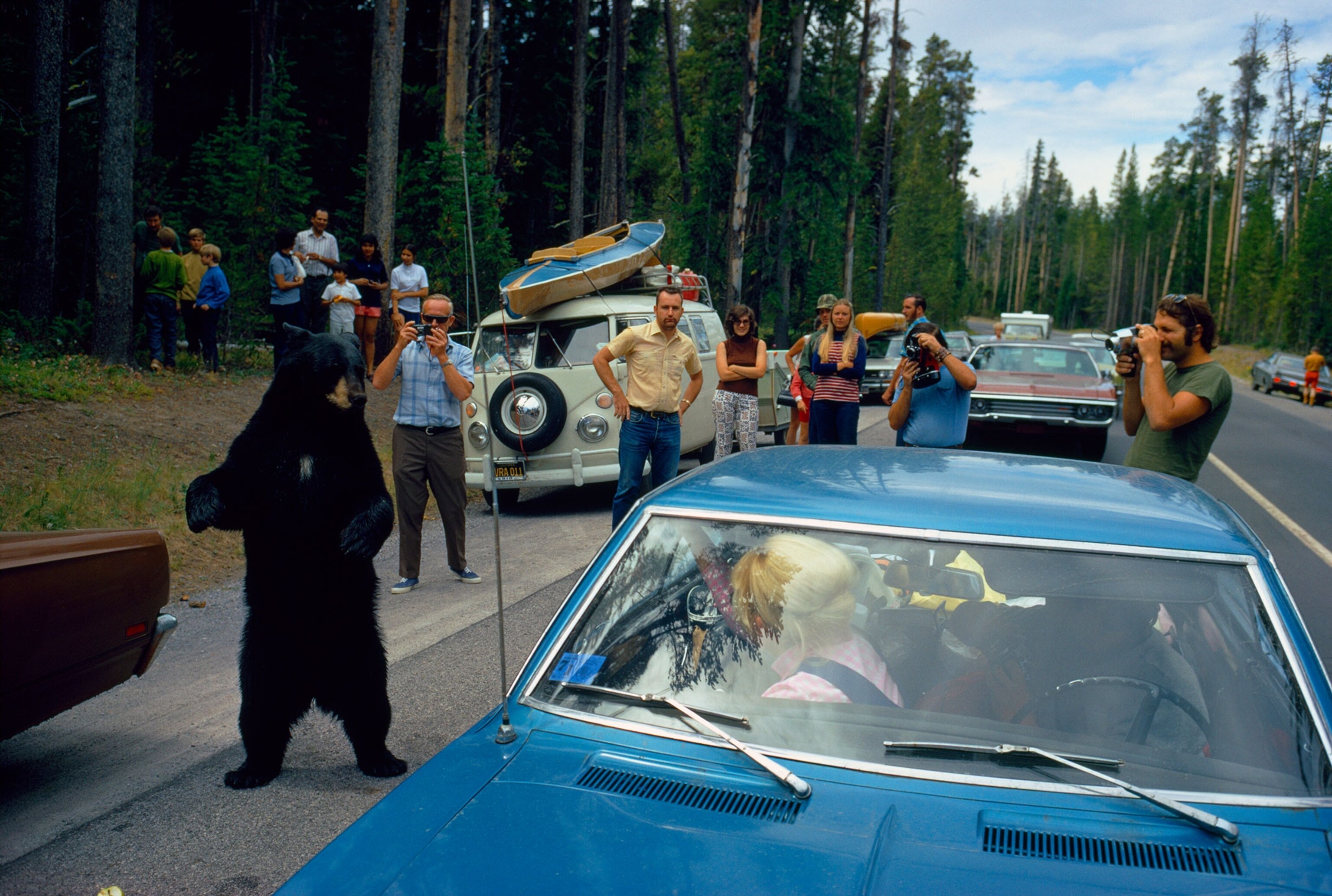 Yellowstone National Park