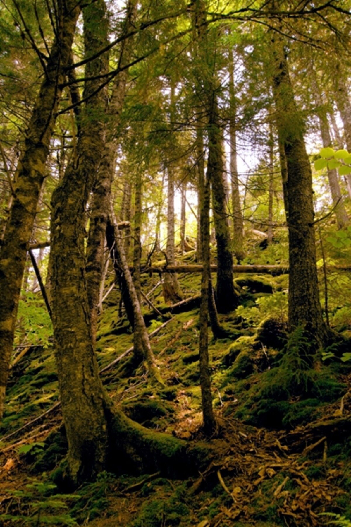 Fundy National Park