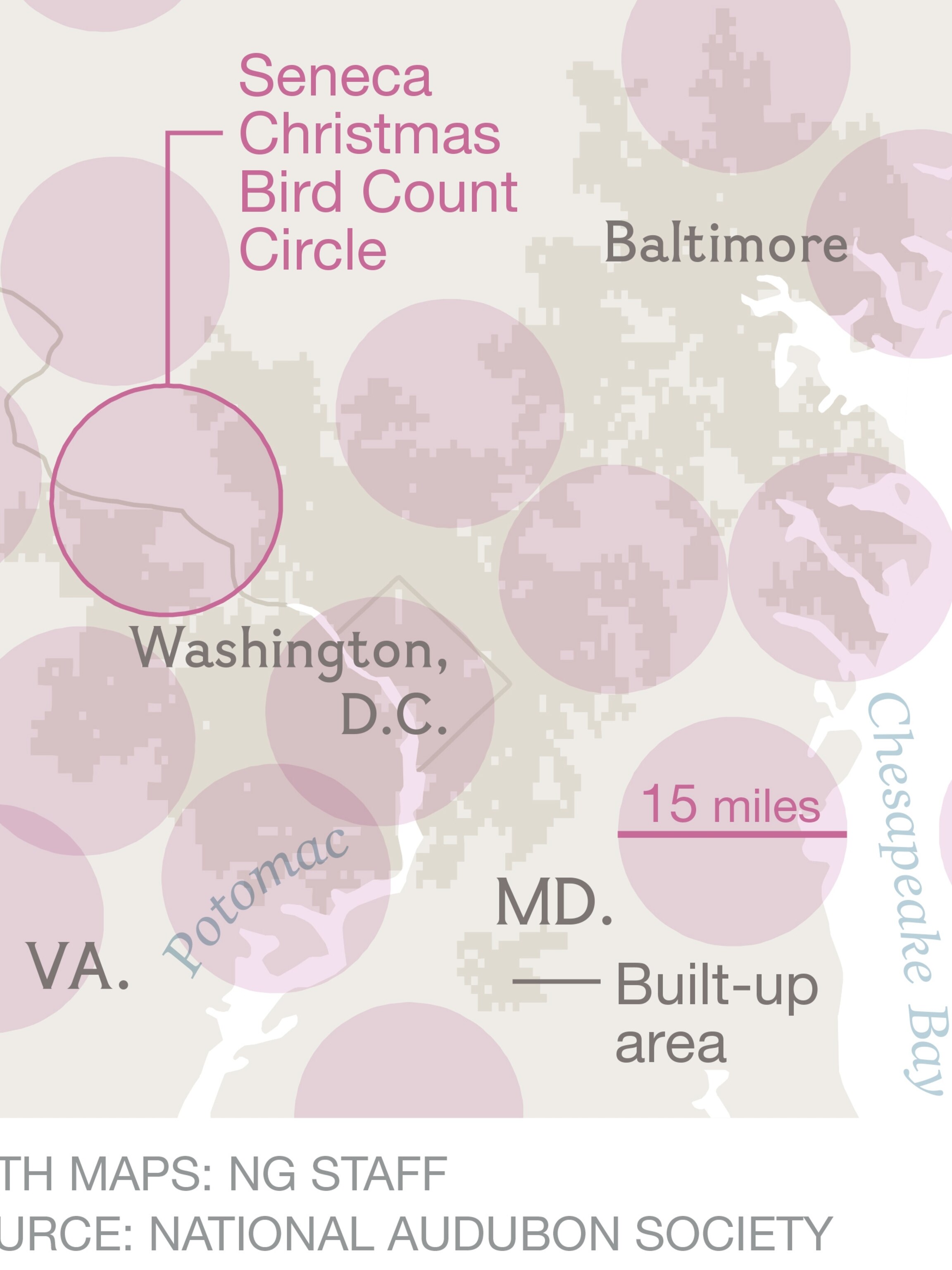 2022 Christmas Bird Count Circle Audubon's Christmas Bird Count Turns 115: Why Does It Matter?