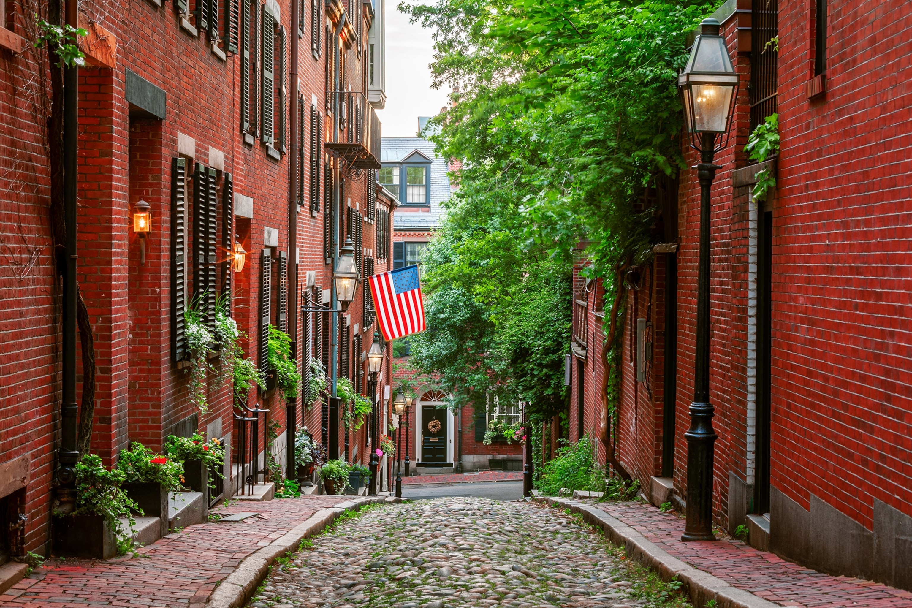 A moss-covered cobblestone road leads past red-brick row homes with green leafy trees and an American flag