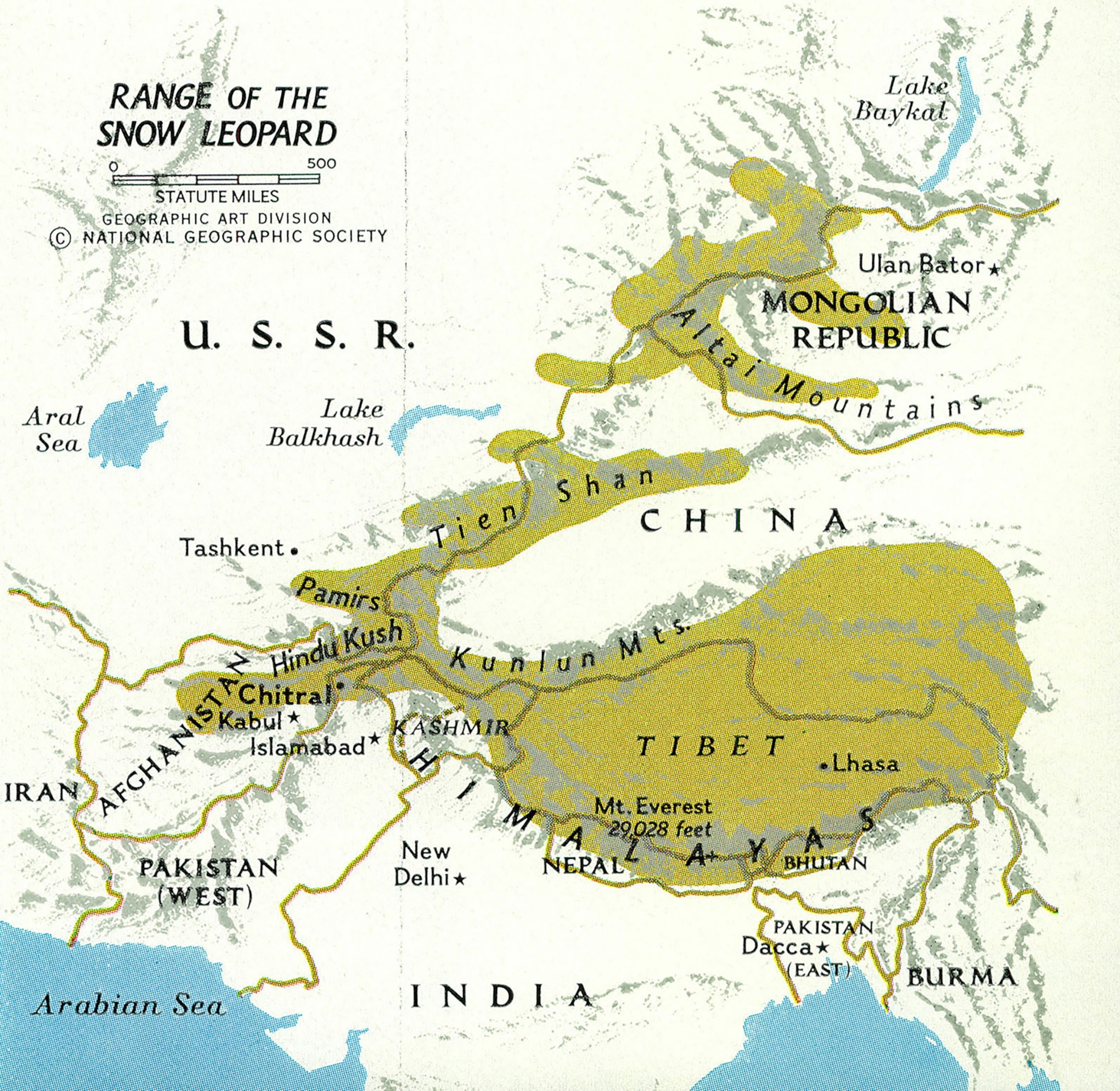 Map of the range of the snow leopards in the Hindu Kush and Himalayas.