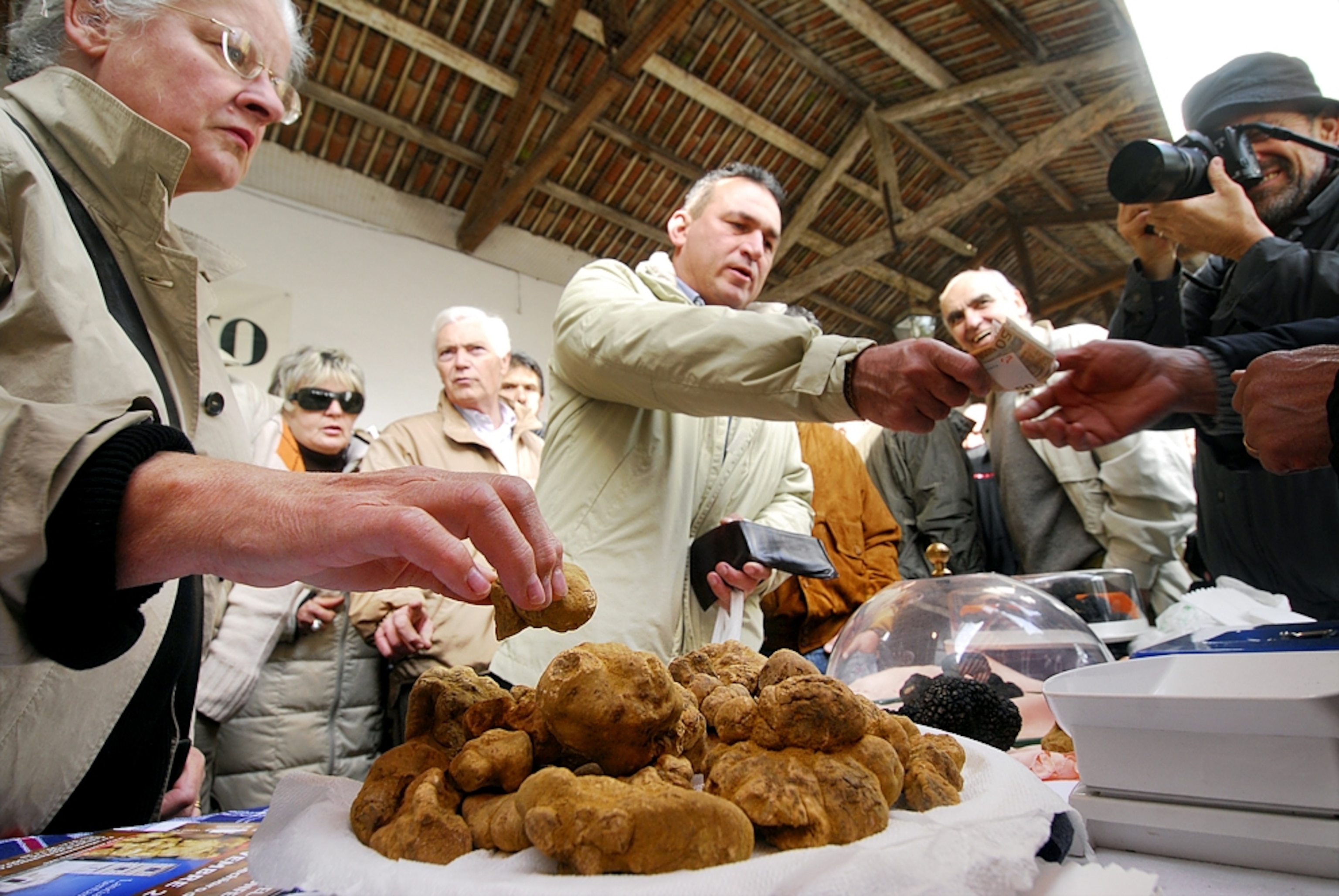 buyers and sellers at the Alba International White Truffle Fair, Italy