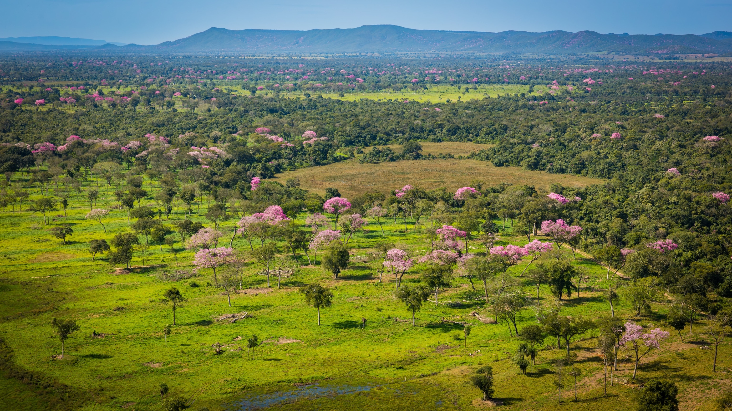Southern Pantanal, Brazil