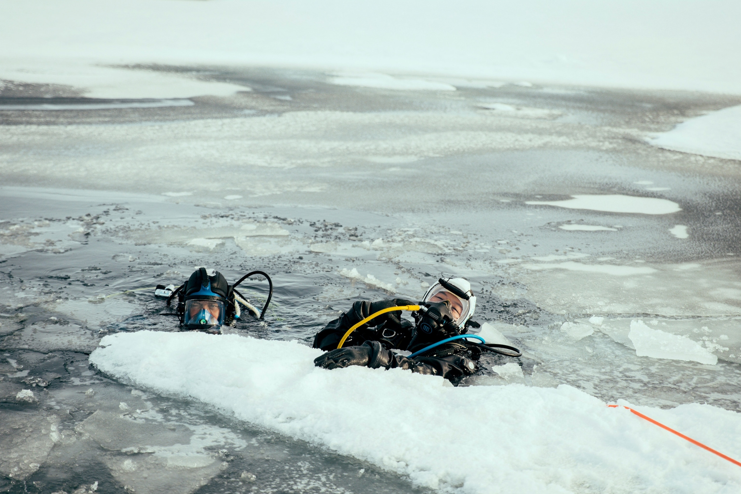 Will Smith, left, and Polar Ecologist Dr. Allison Fong dive under the ice in the North Pole to collect samples.